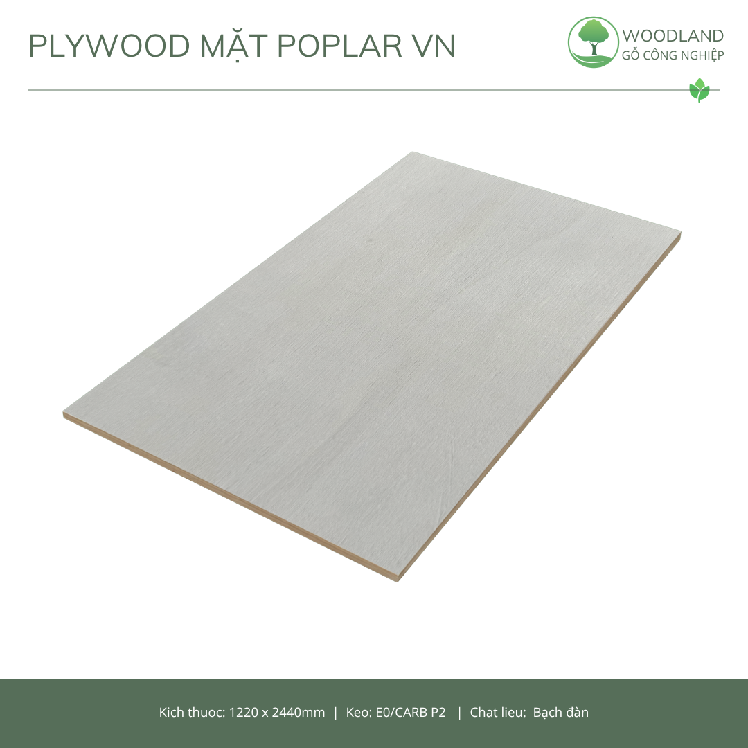 Plywood Mặt Poplar Việt Nam