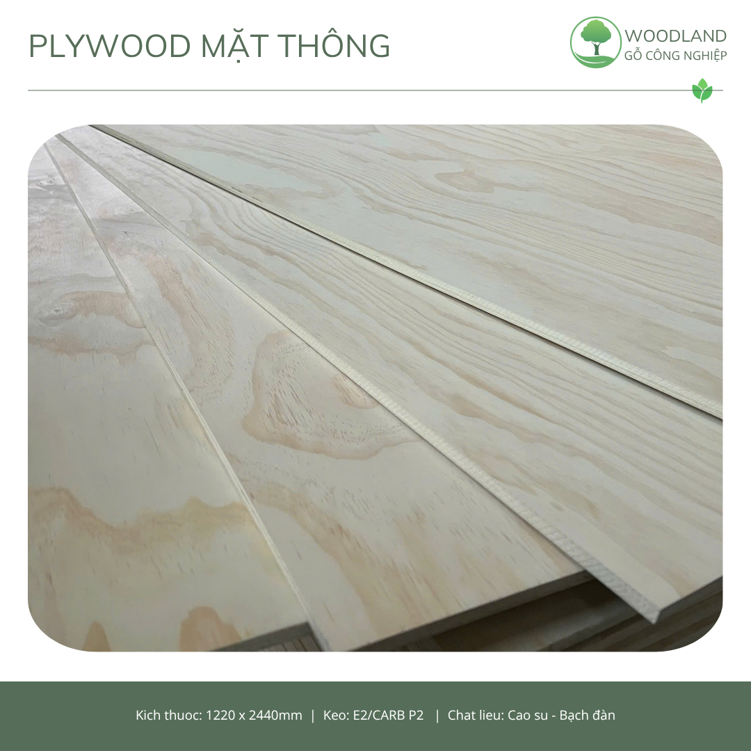 Plywood Mặt Thông