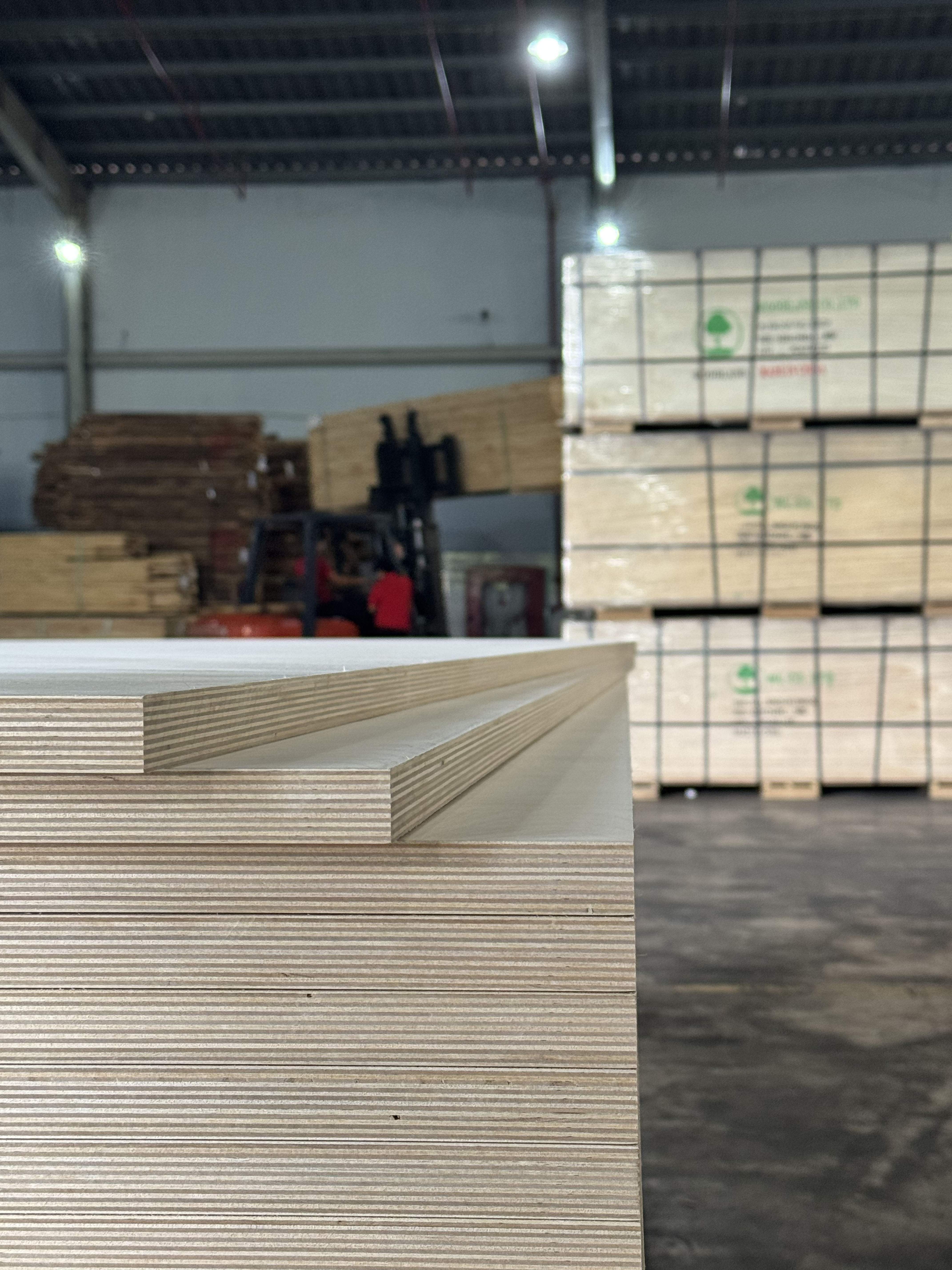 Plywood Full Birch Beyond Distress 4