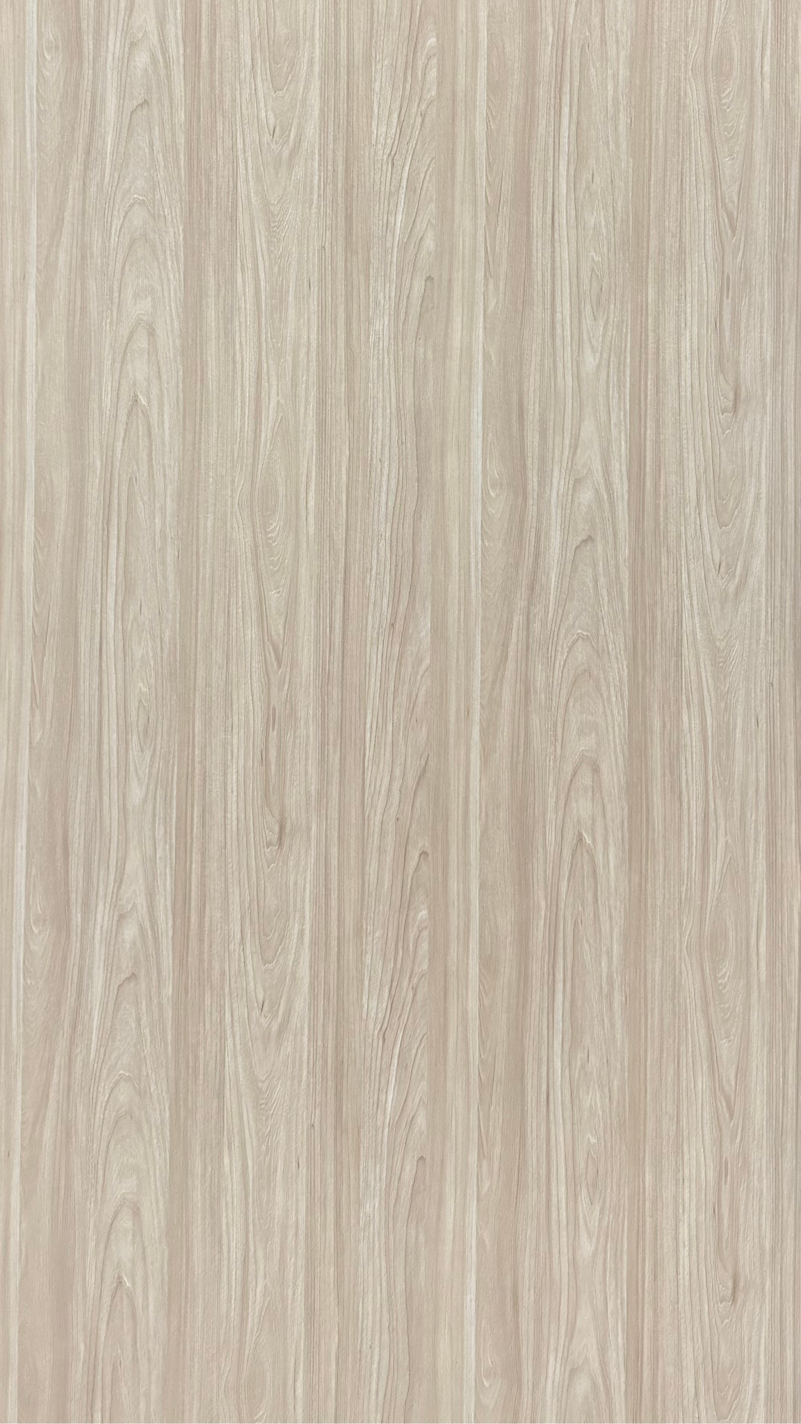 Plywood Melamine - WL601EW - Oak Natural