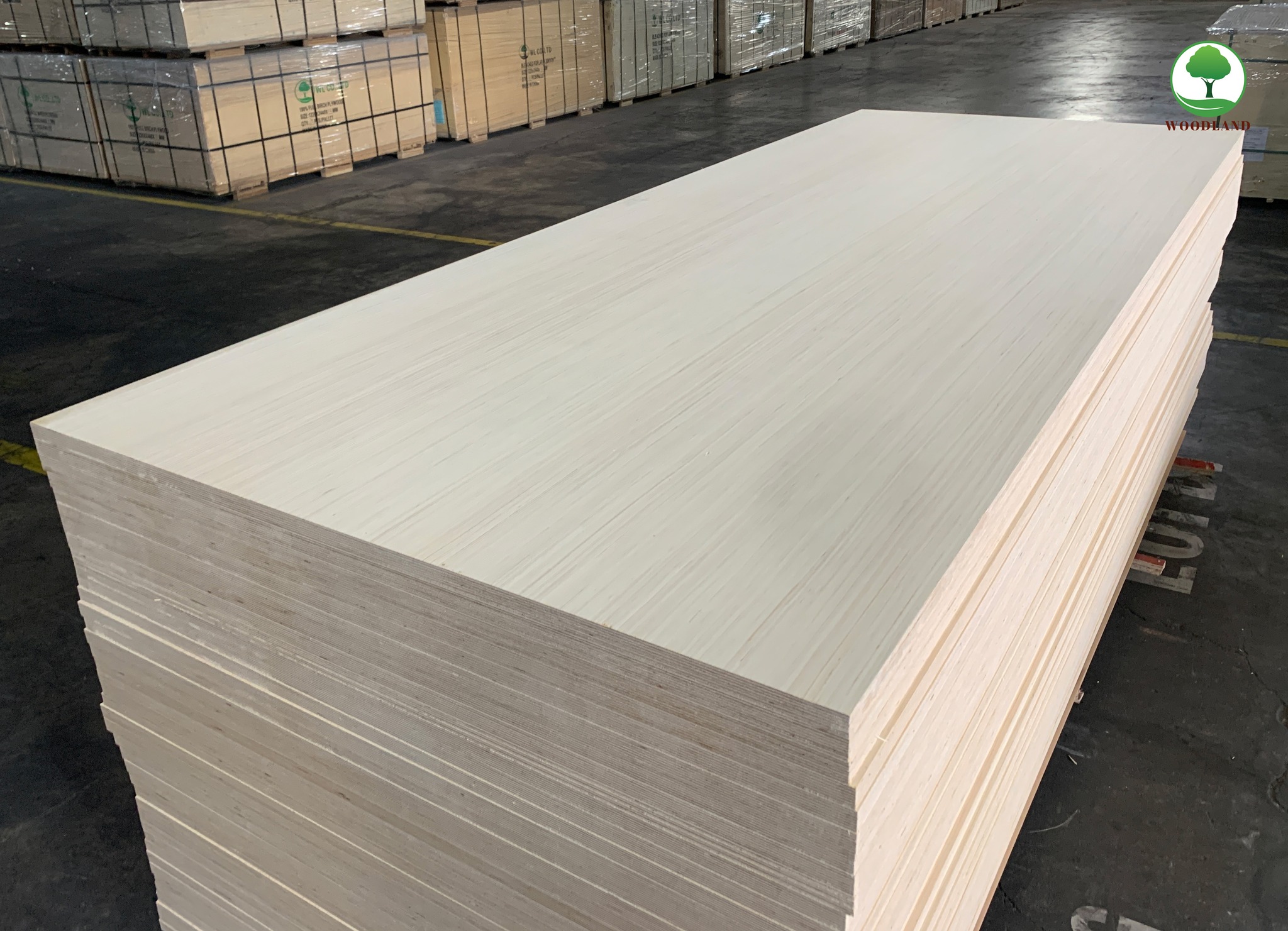 Plywood Full Birch Beyond Distress 2