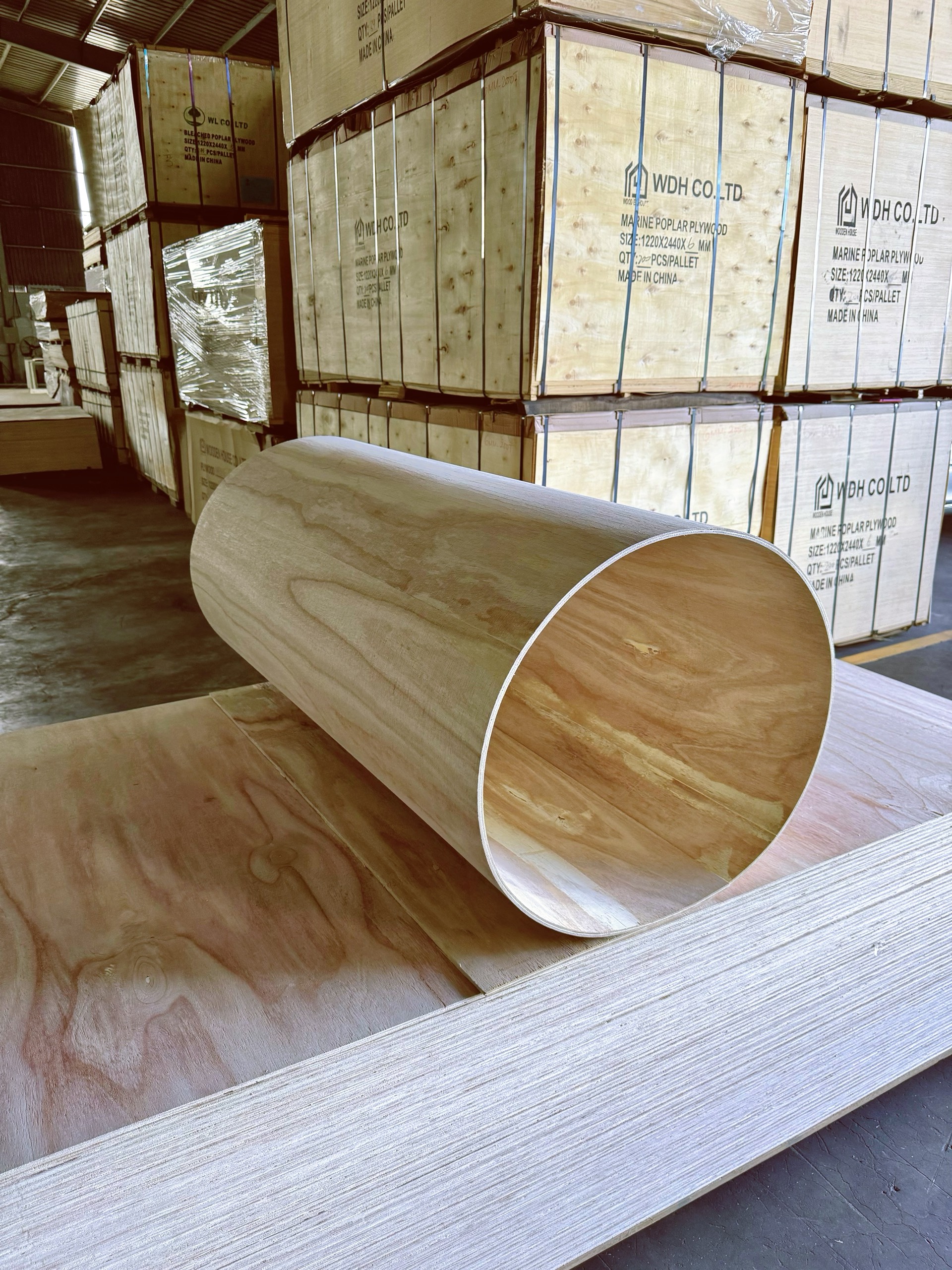 Plywood Polownia Flexible (Hong Wood) Bends Flexibly 6