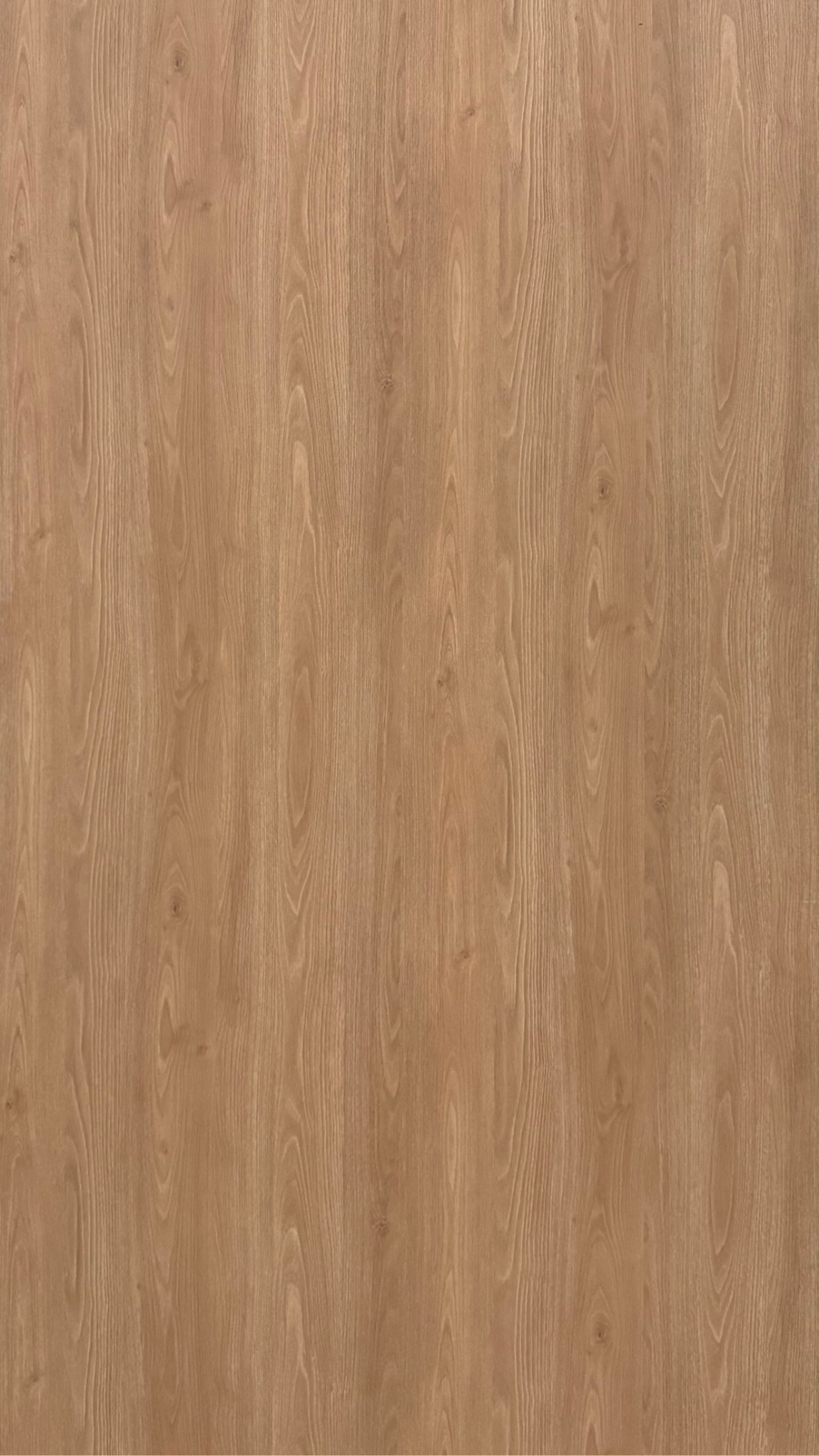 Plywood Melamine - WL605EV - Natural Oak