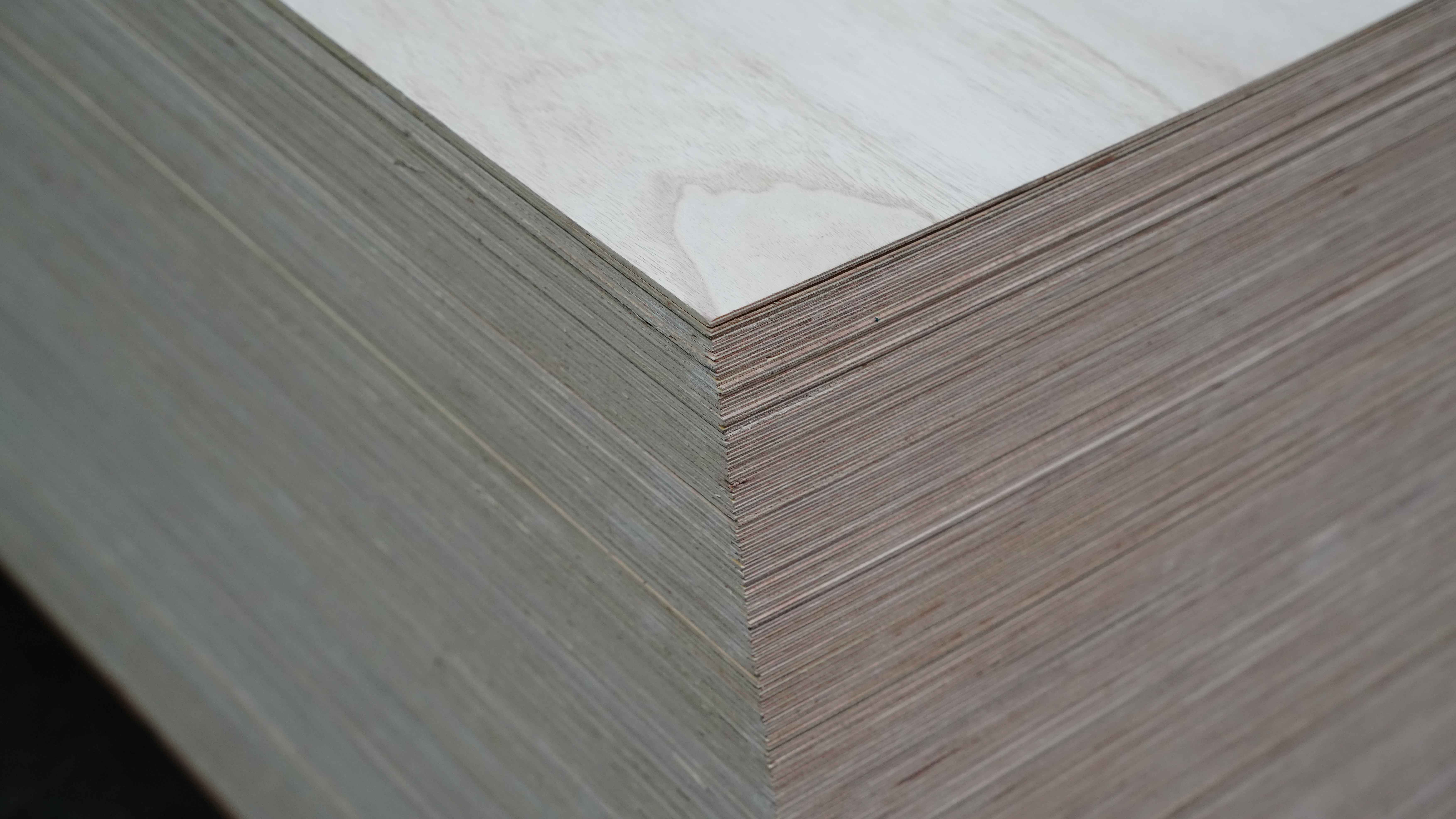 Ván Ép Uốn Cong Linh Hoạt - Pawlownia Flexible Plywood 6
