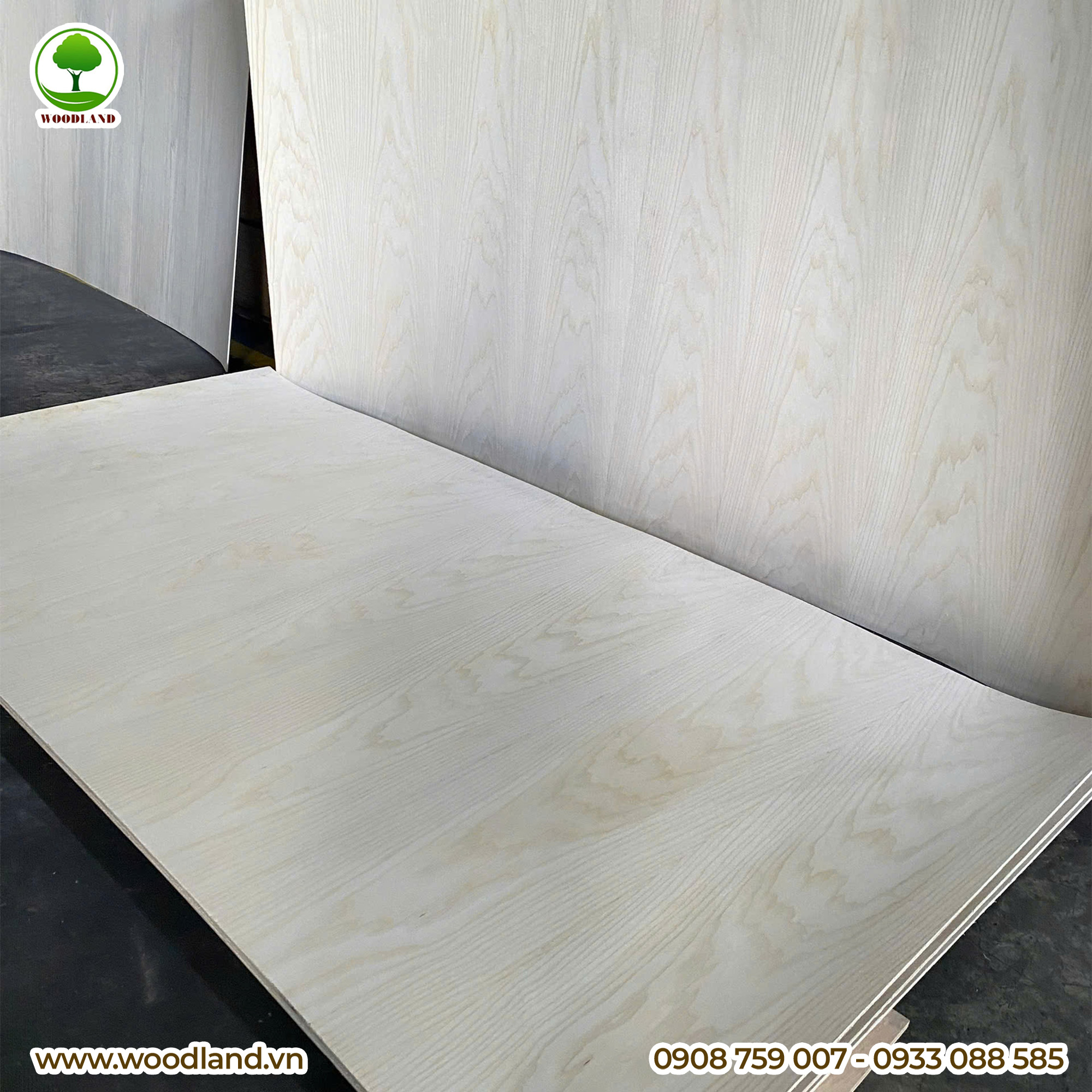 Plywood Veneer - Ash 3