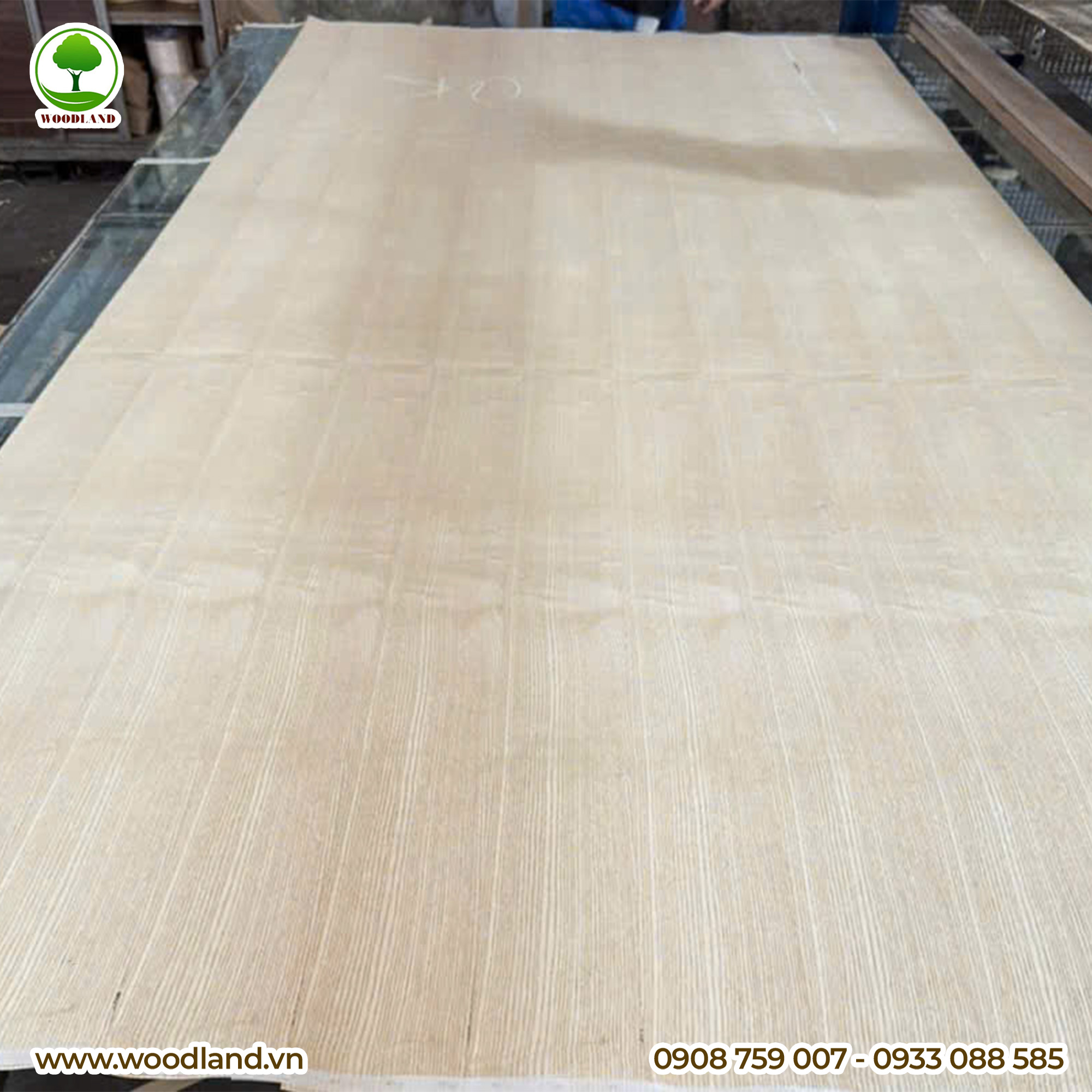 Plywood Veneer - Ash 4