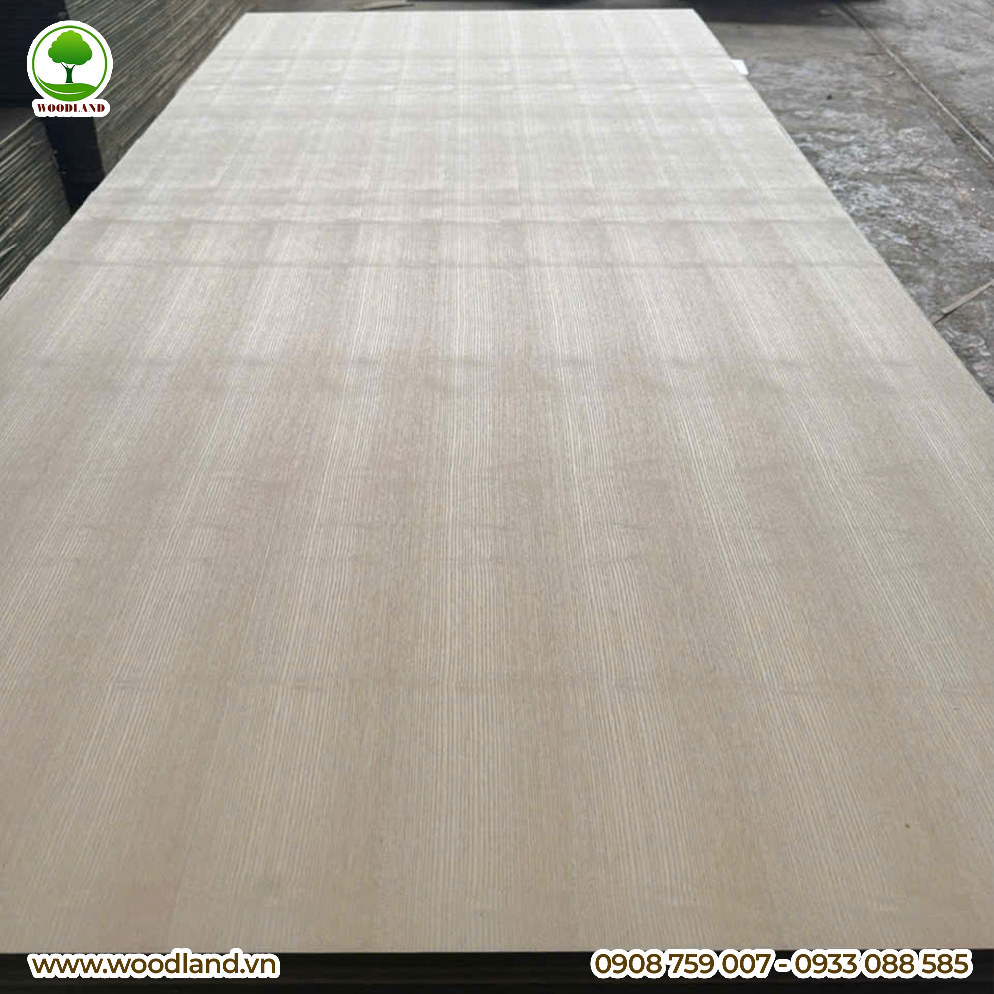 Plywood Veneer - Ash 5