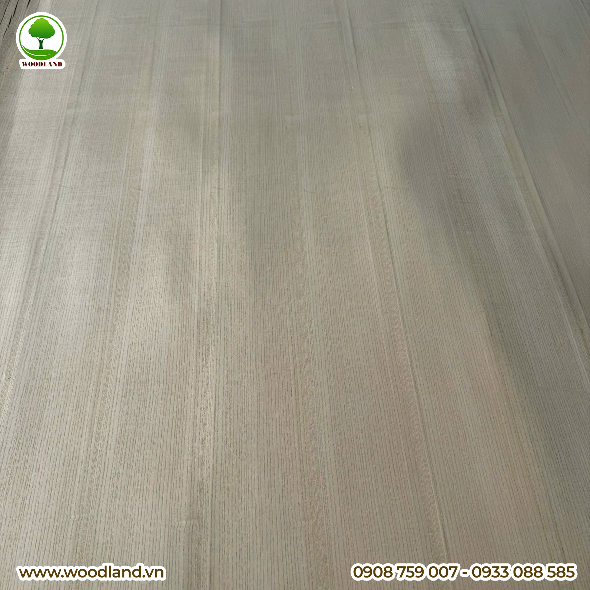 Plywood Veneer - Ash 6