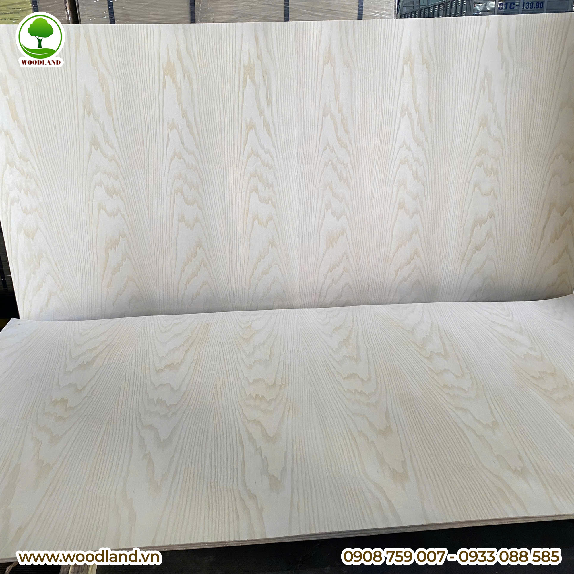 Plywood Veneer - Ash 7