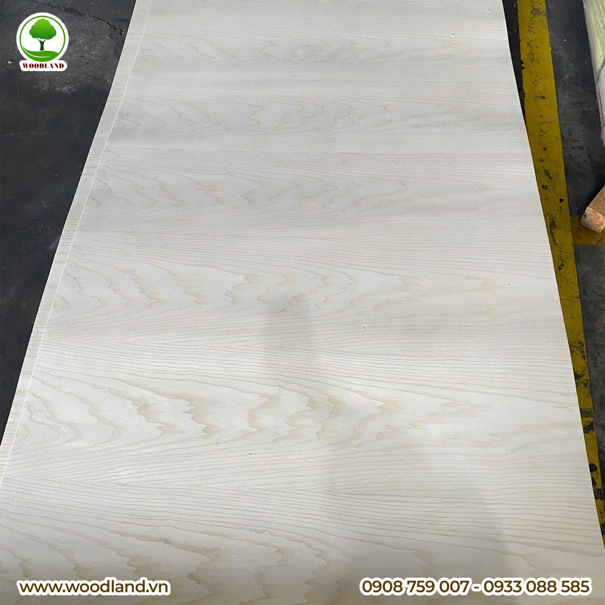 Plywood Veneer - Ash 8