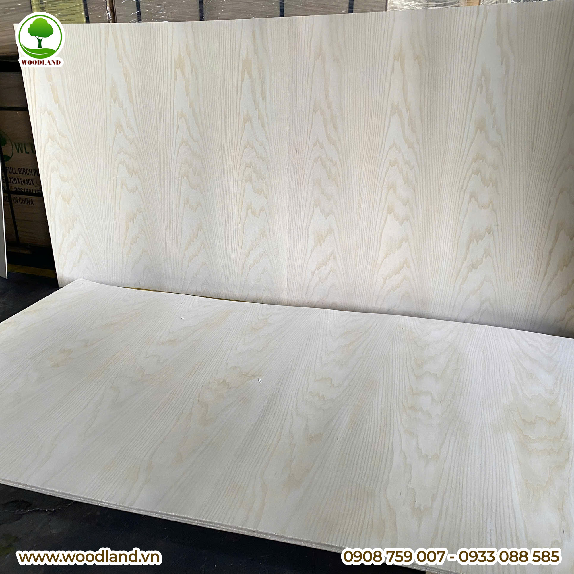 Plywood Veneer - Ash 2