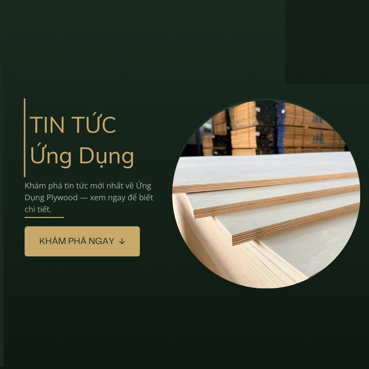 Tin Ứng Dụng