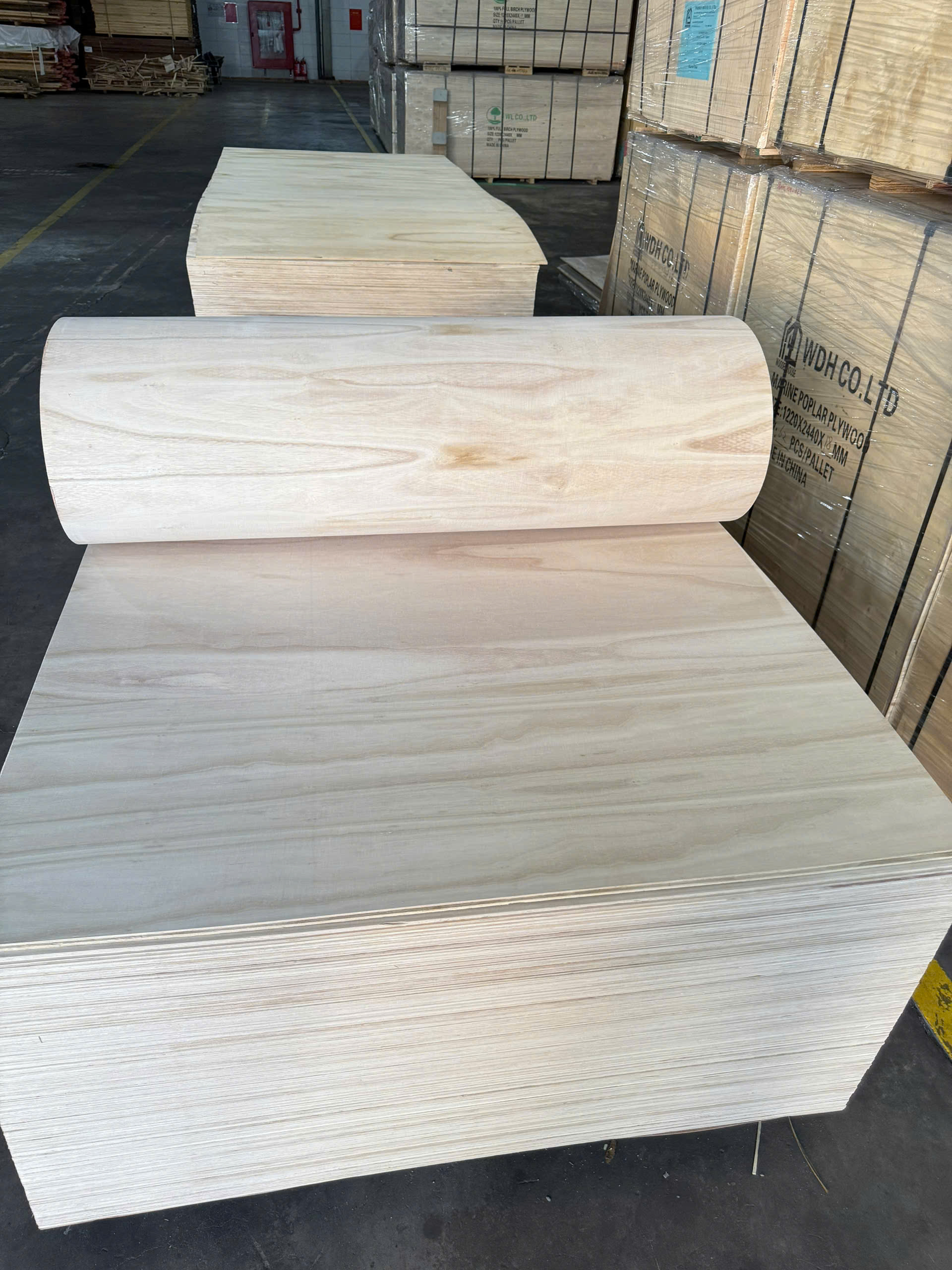 Plywood Polownia Flexible (Hong Wood) Bends Flexibly 7