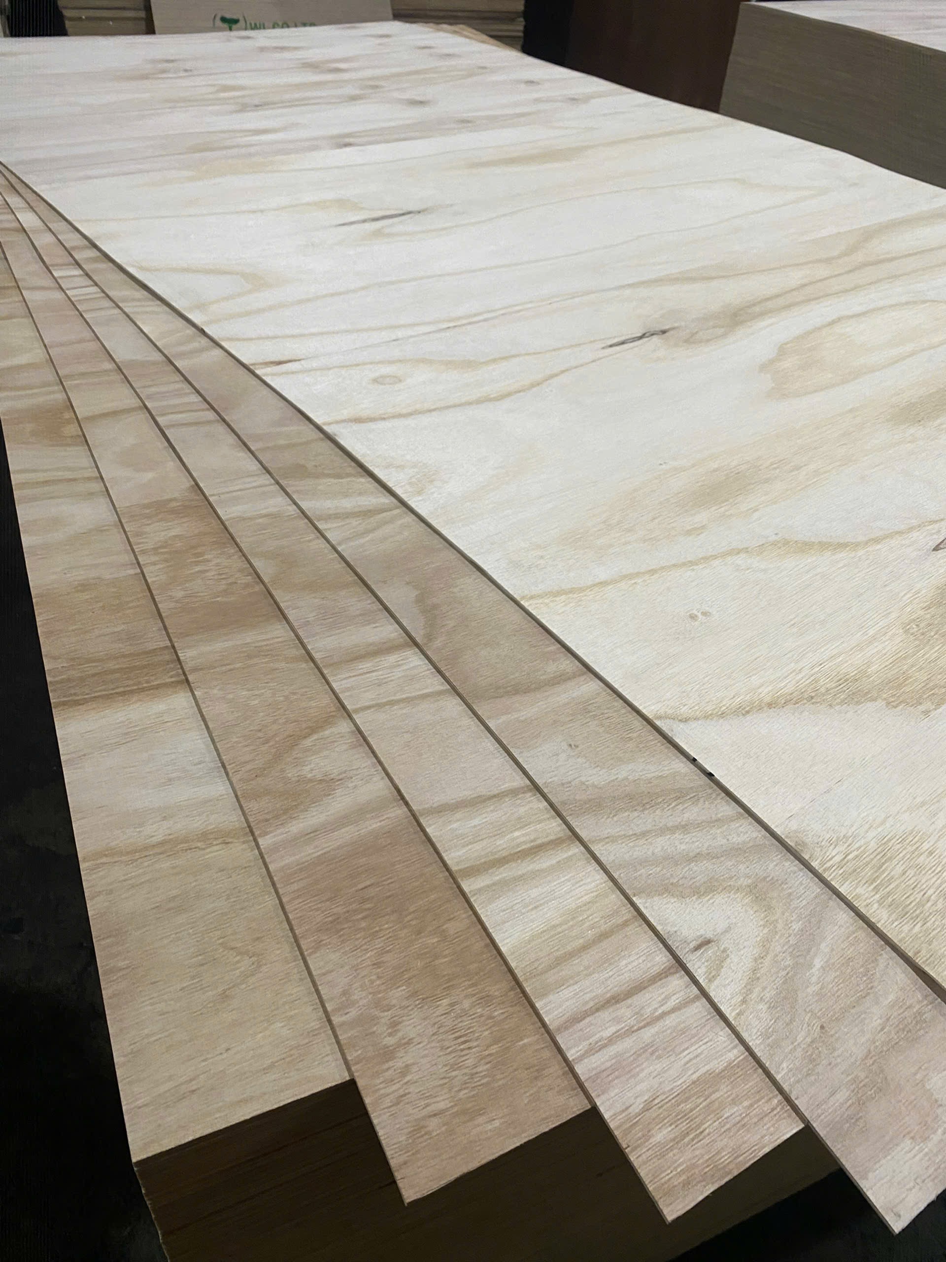 Plywood Polownia Flexible (Hong Wood) Bends Flexibly 3