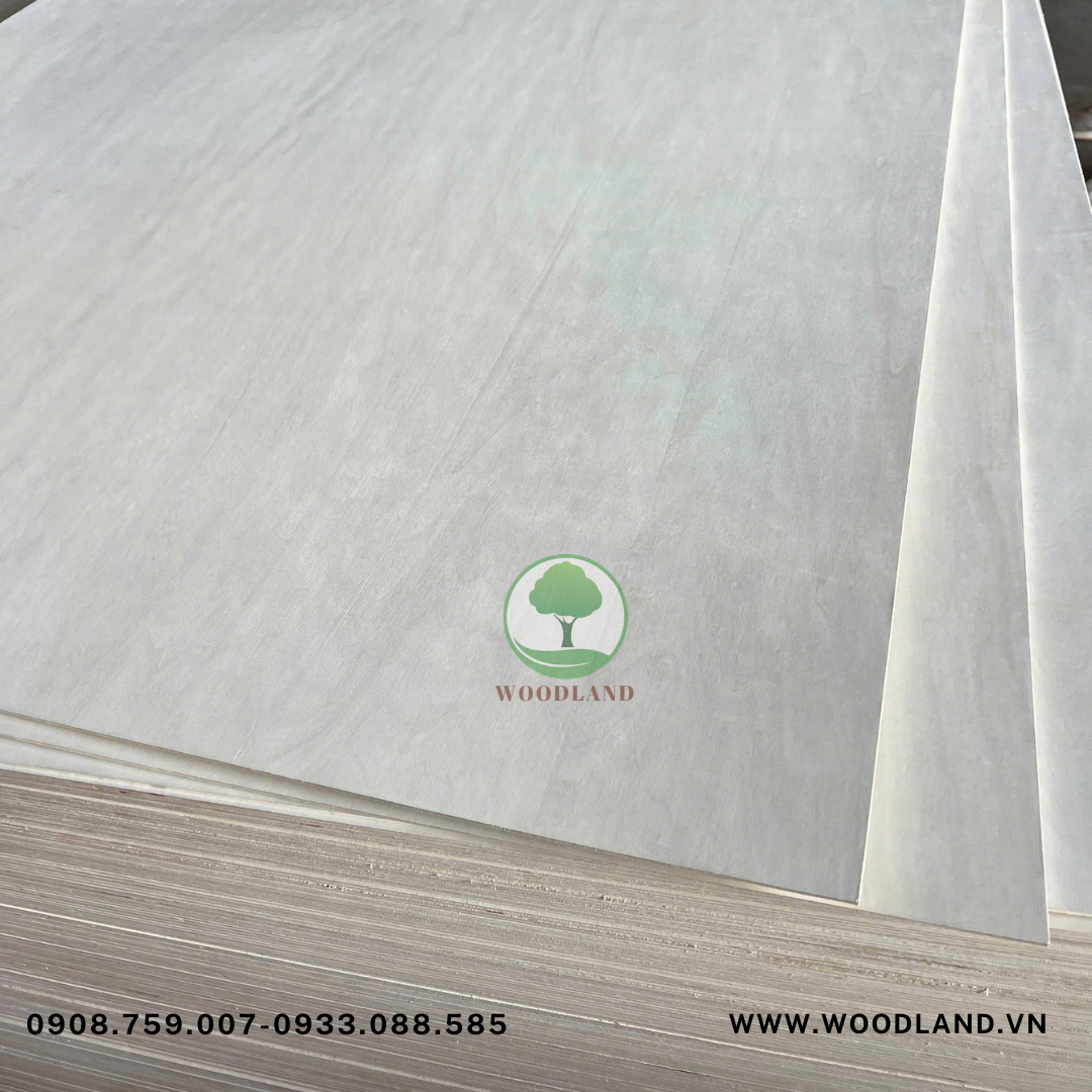 Plywood Poplar Carb P2 2