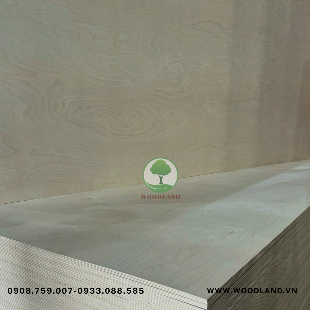 Plywood Full Birch 5