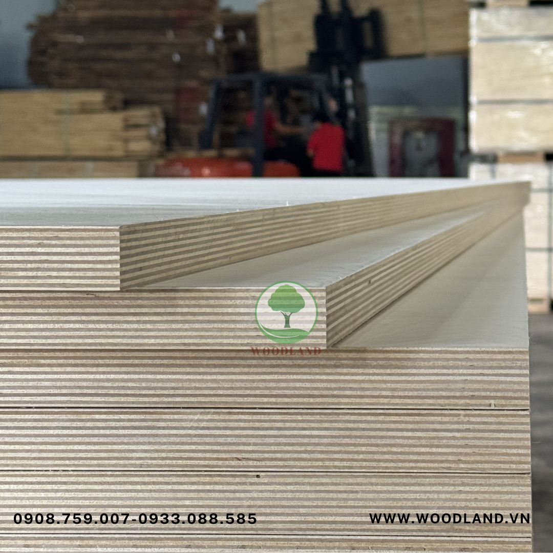 Plywood Full Birch 6