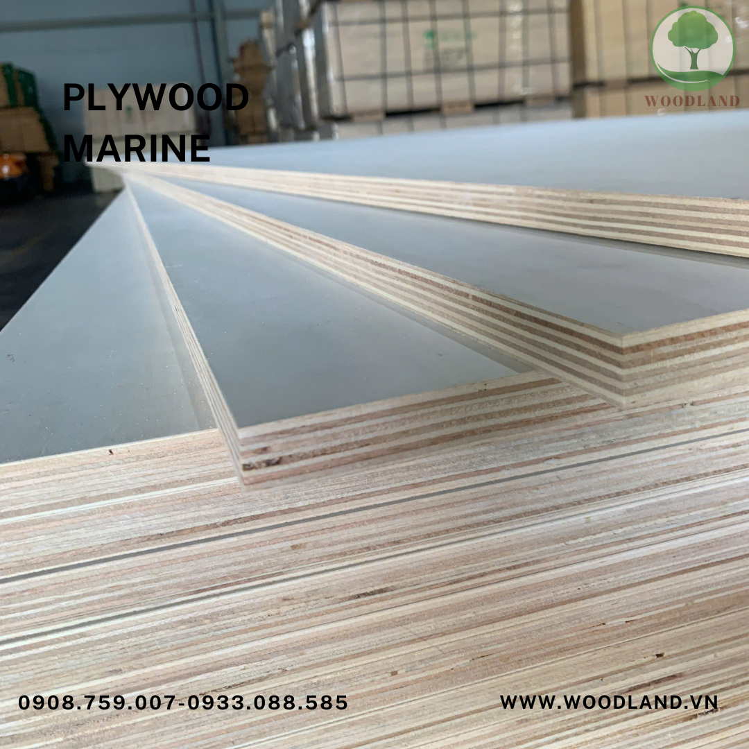 Plywood Poplar Marine 4