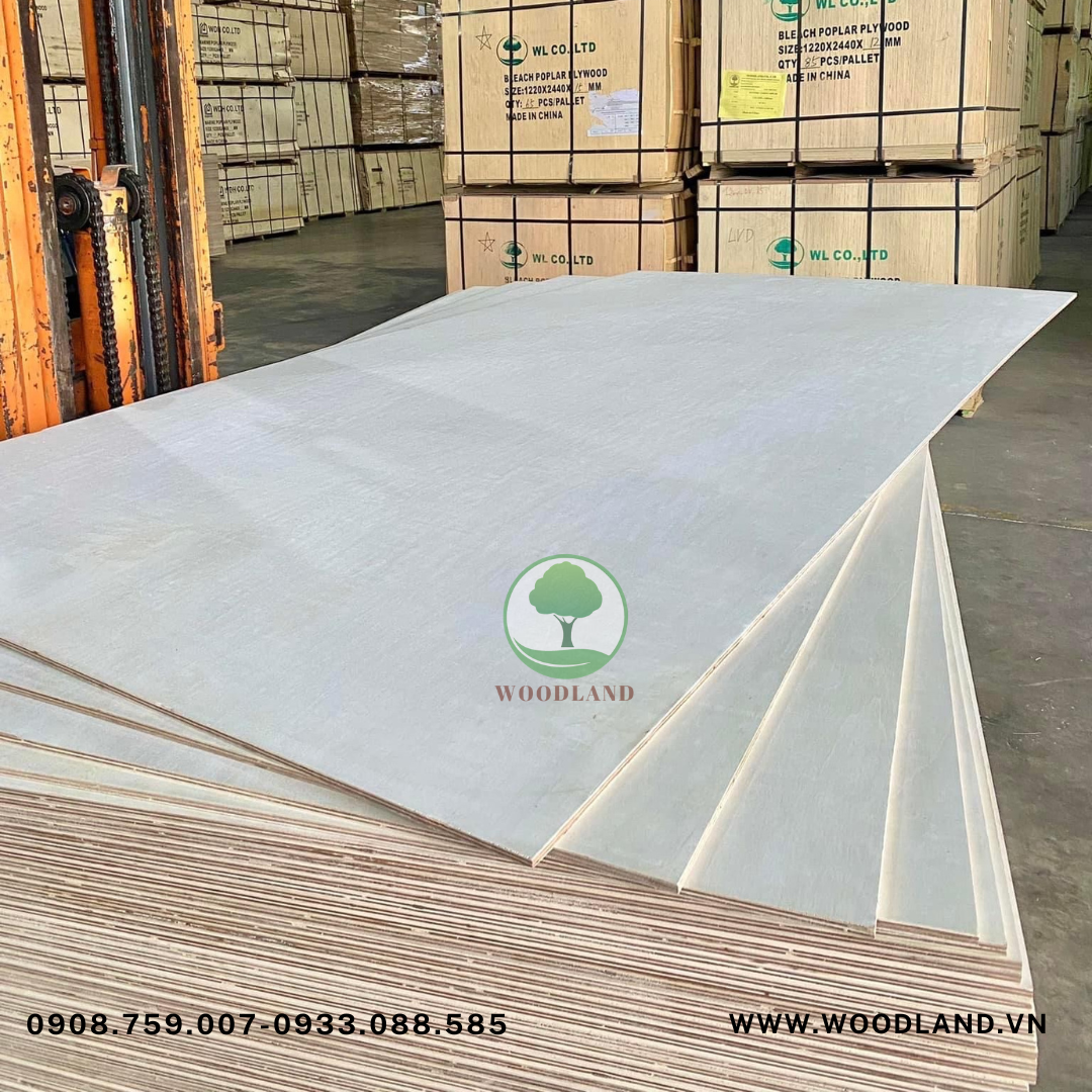 Plywood Poplar Marine 3