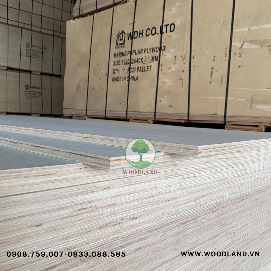 Plywood Poplar Marine 2