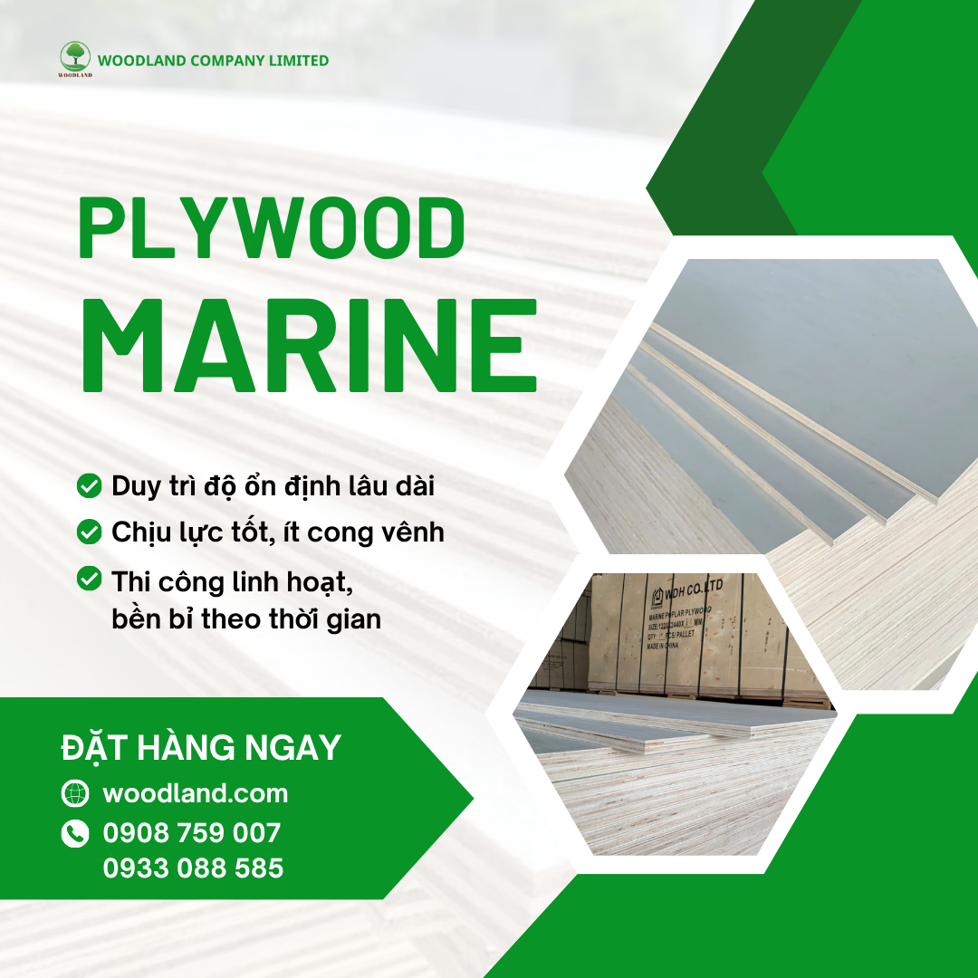 Plywood Poplar Marine