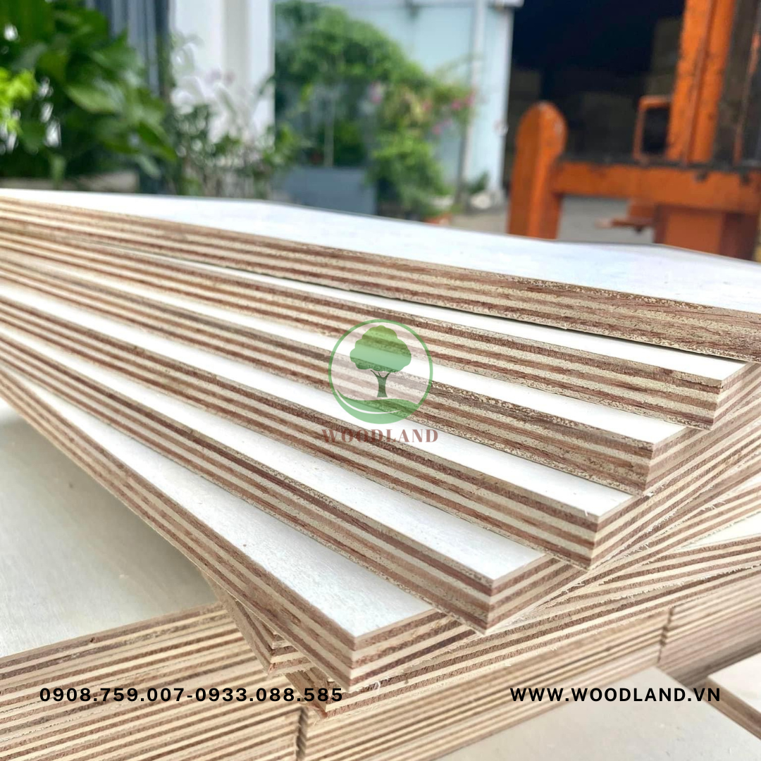 Plywood Poplar Marine 6