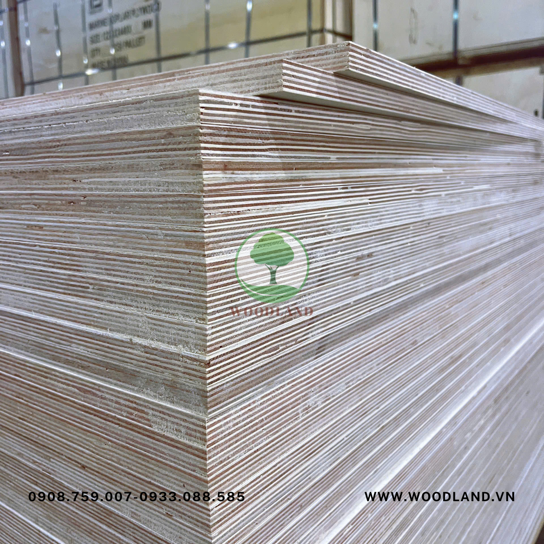 Plywood Poplar Marine 5