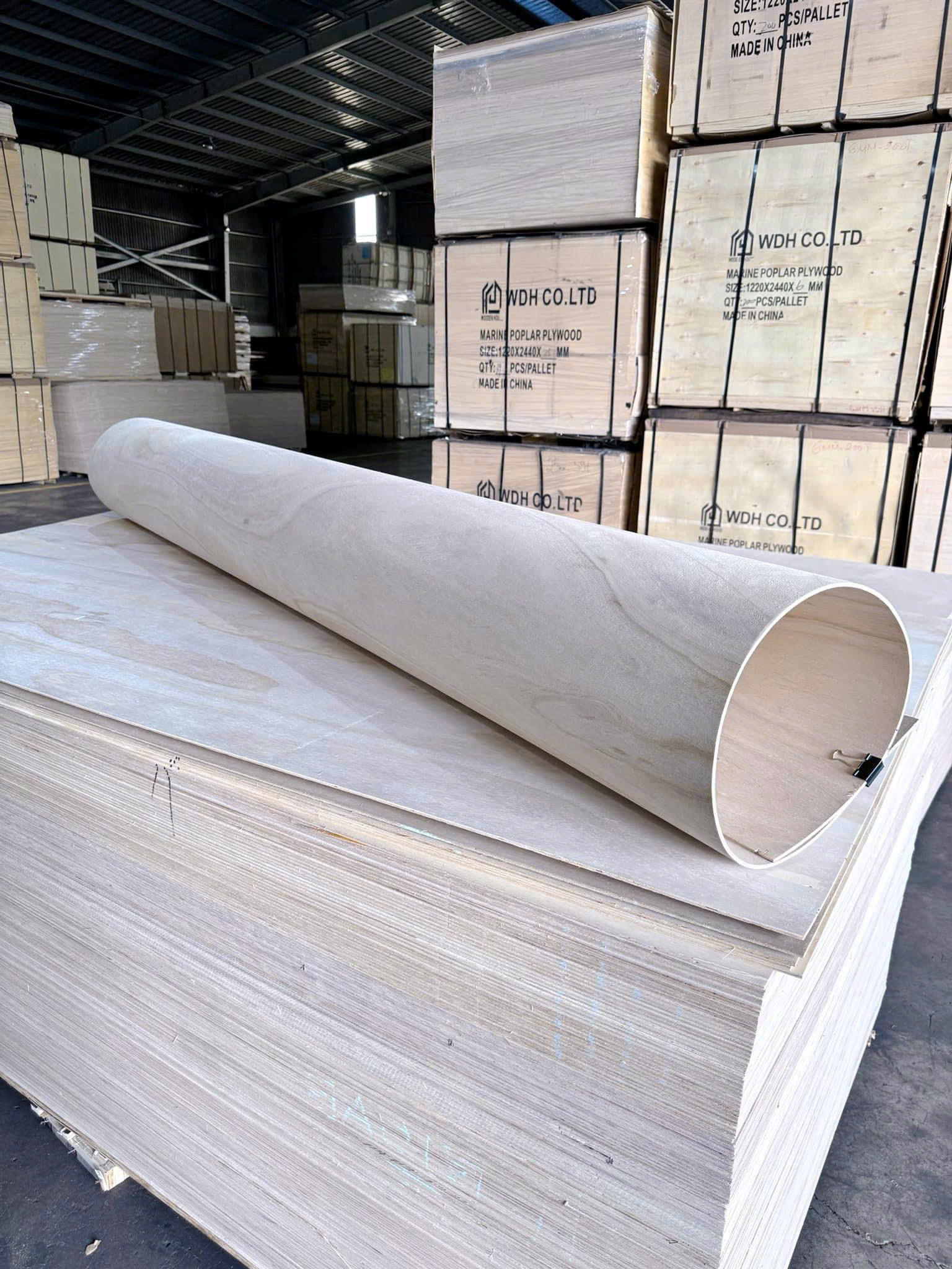 Plywood Polownia Flexible (Hong Wood) Bends Flexibly 4