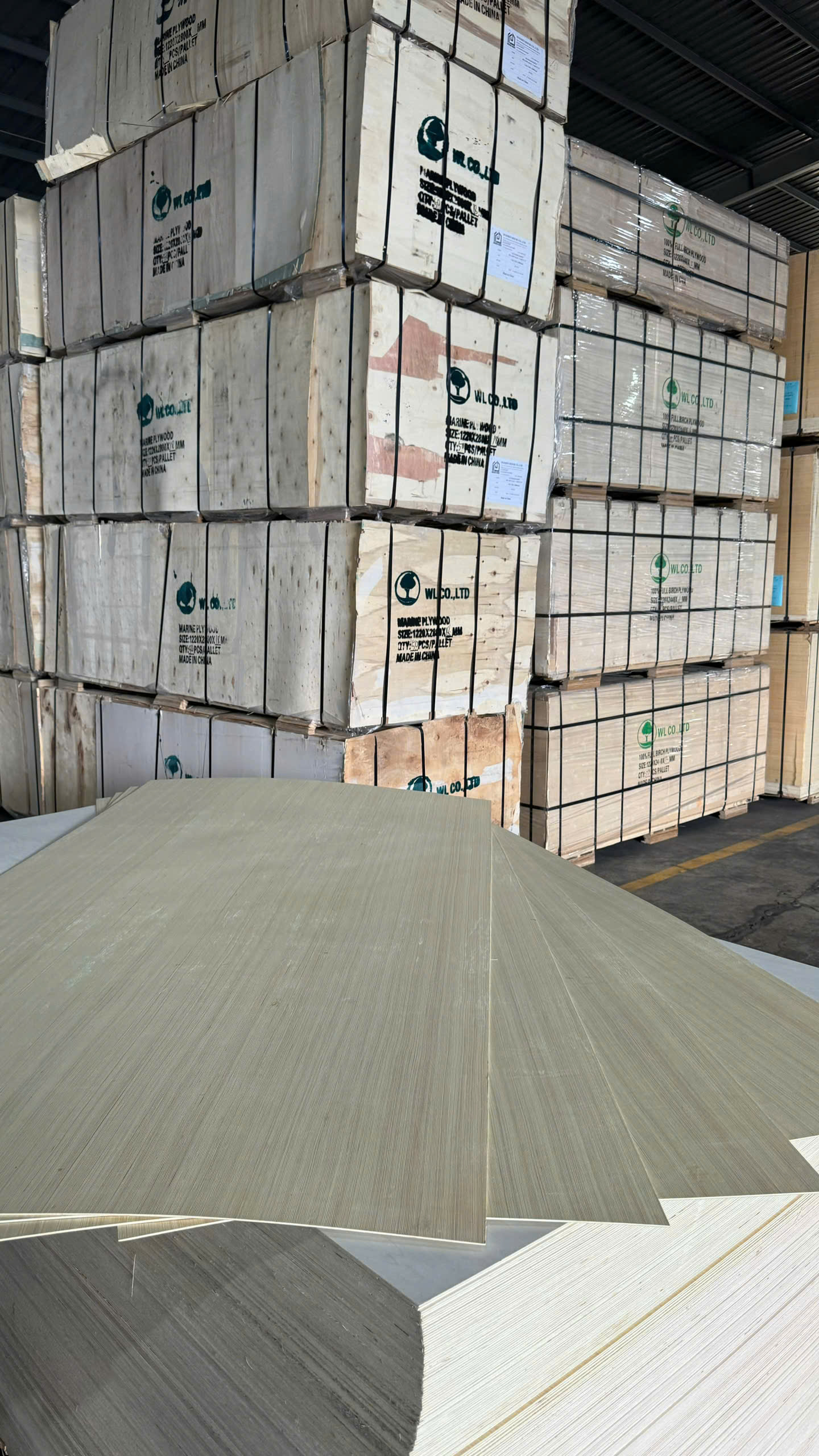 Plywood Poplar Artificial Surface (A/EV) 4