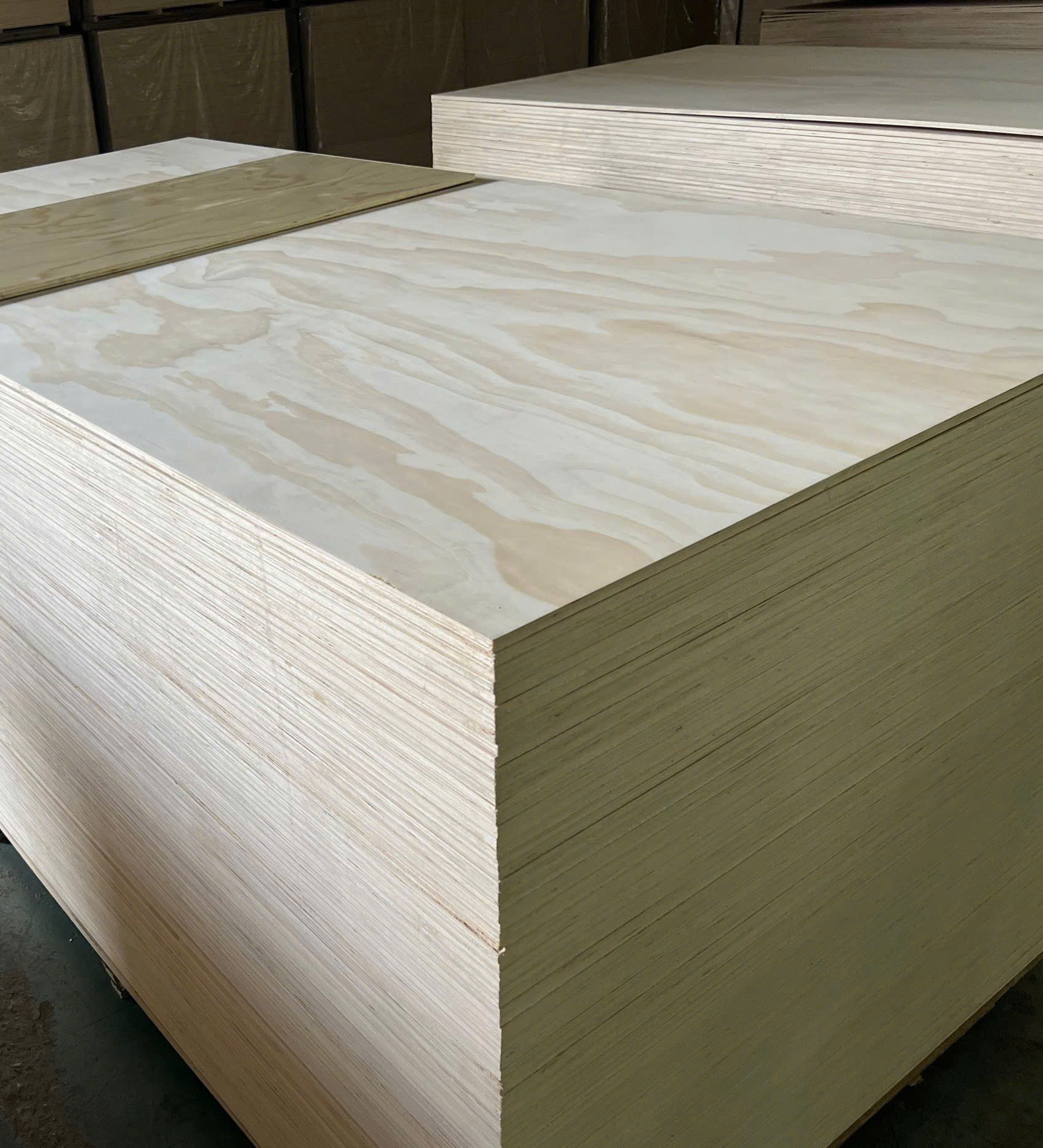 Plywood Pine AA 5
