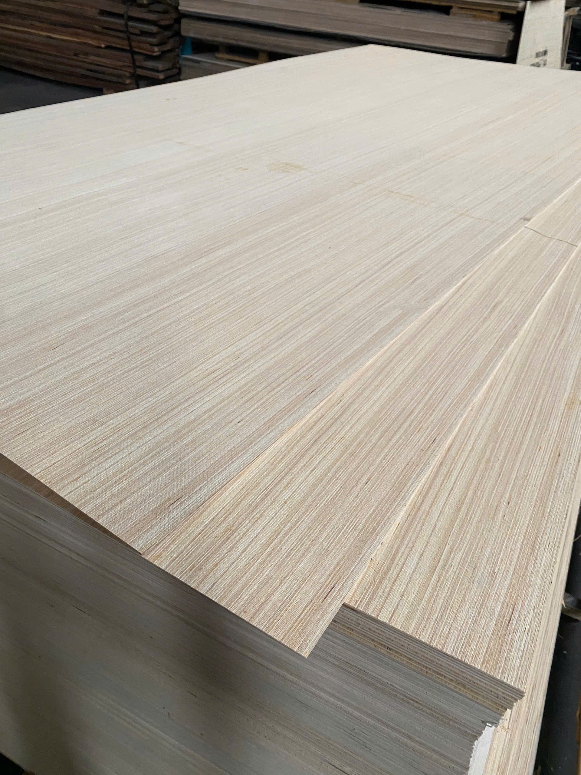 Plywood Poplar Artificial Surface (A/EV) 6