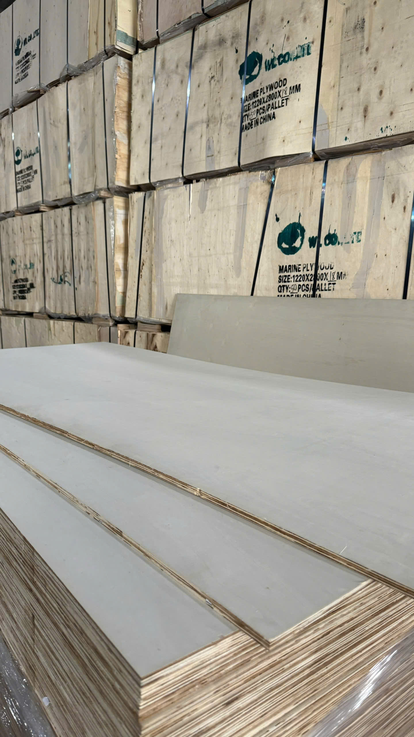 Plywood Mặt Poplar Việt Nam 2