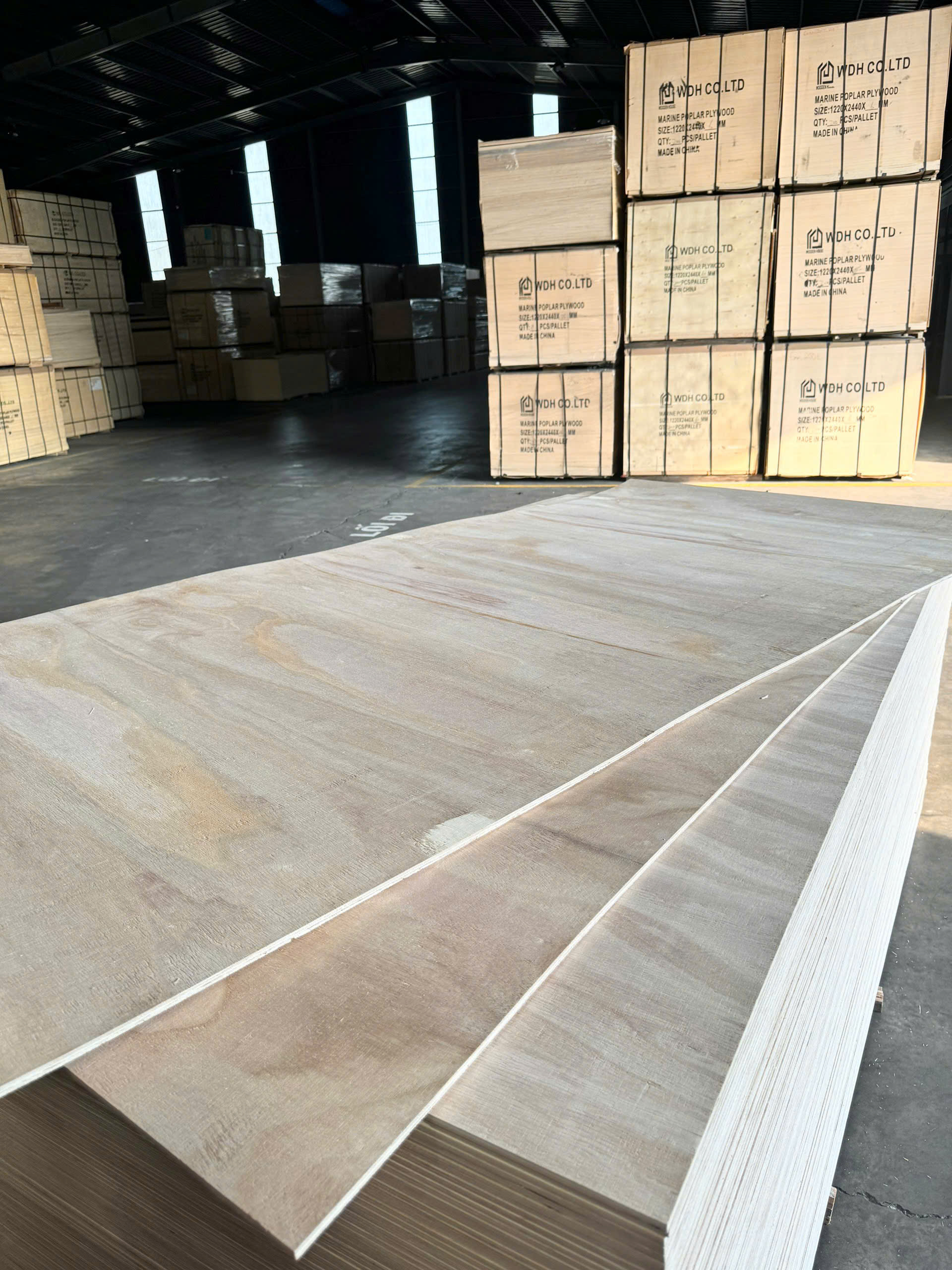 Plywood Polownia Flexible (Hong Wood) Bends Flexibly 8