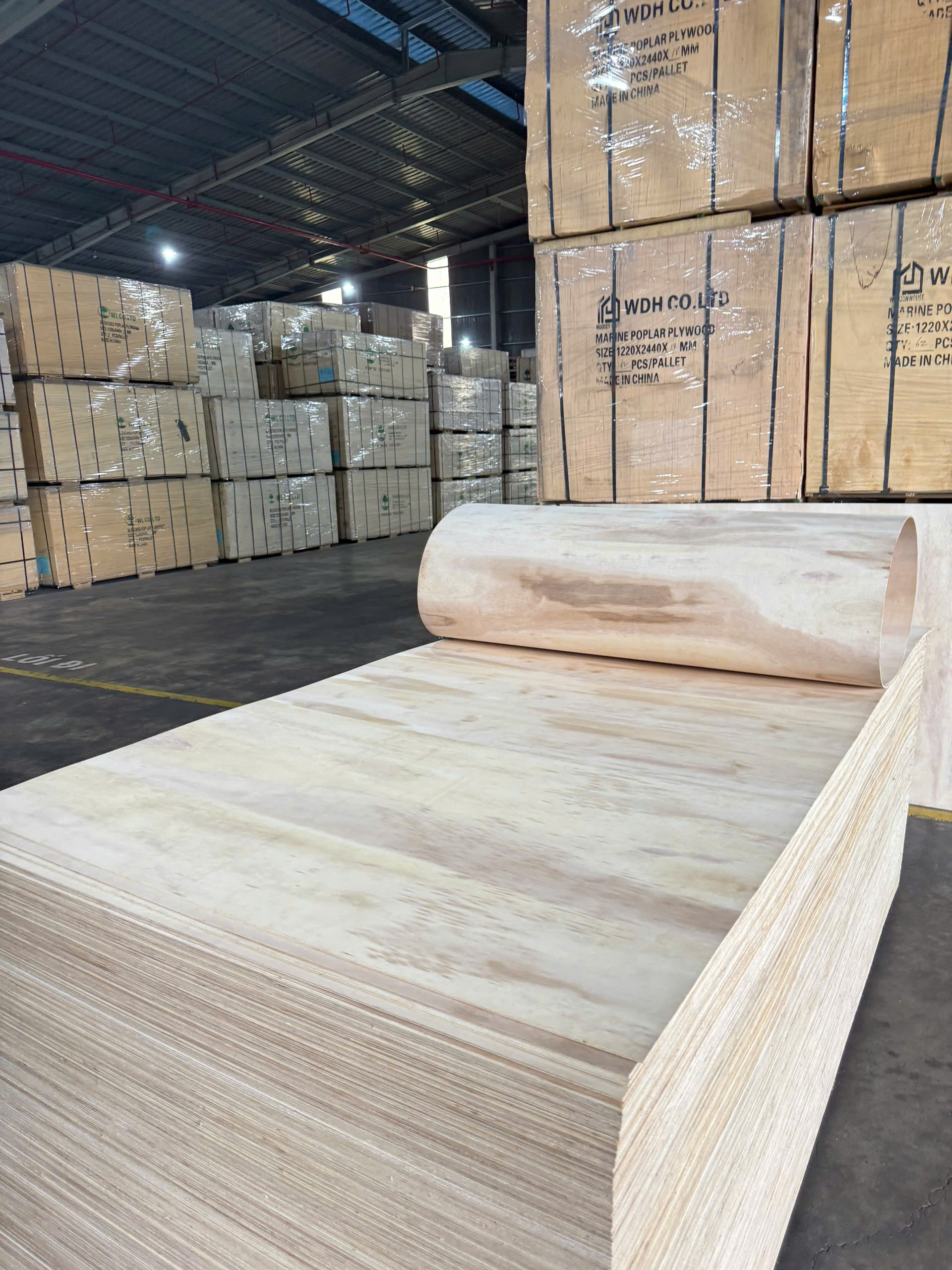 Plywood Polownia Flexible (Hong Wood) Bends Flexibly 5