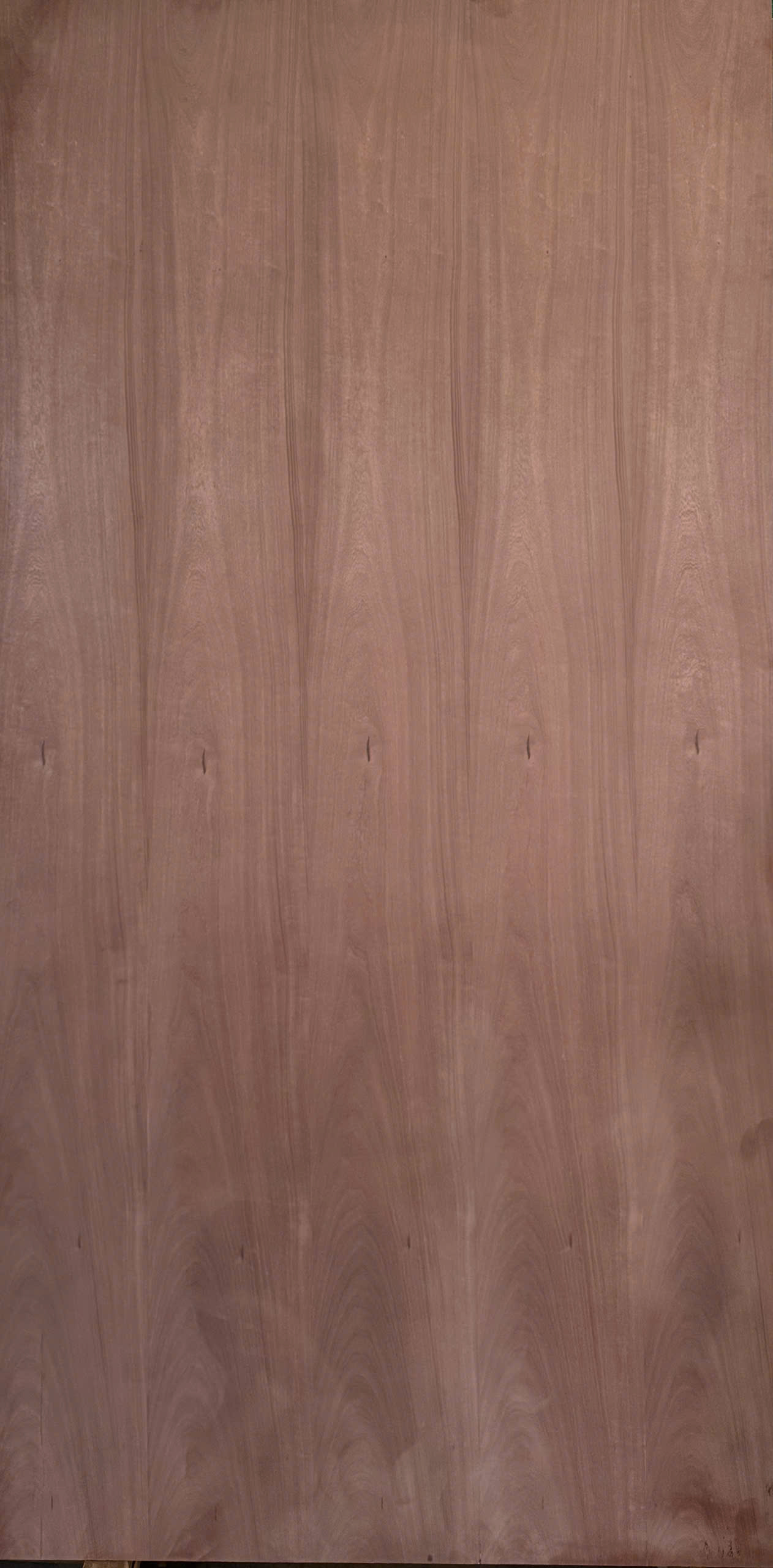 Plywood Covered with Veneer for Vehicle Chassis 3
