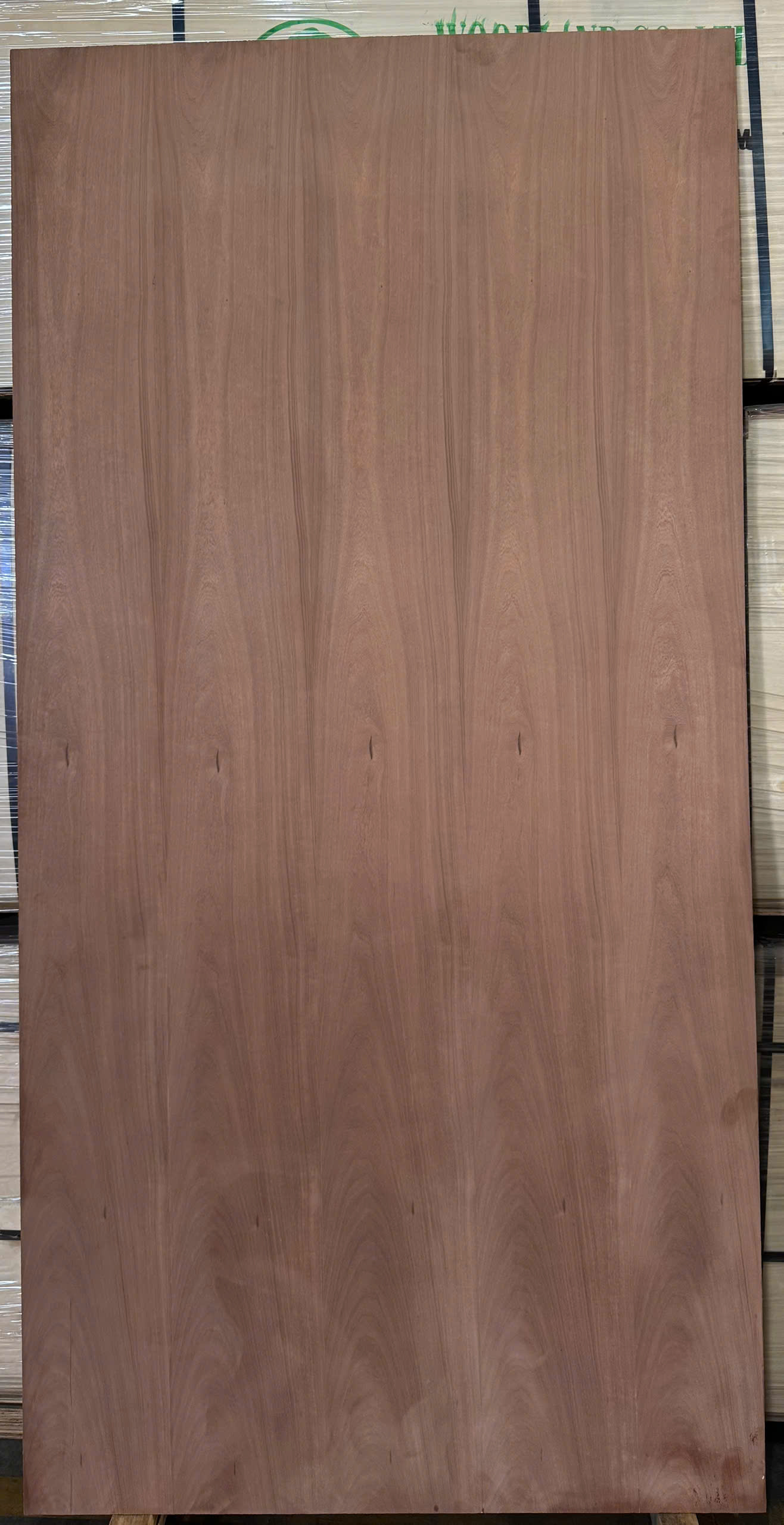 Plywood Covered with Veneer for Vehicle Chassis 4