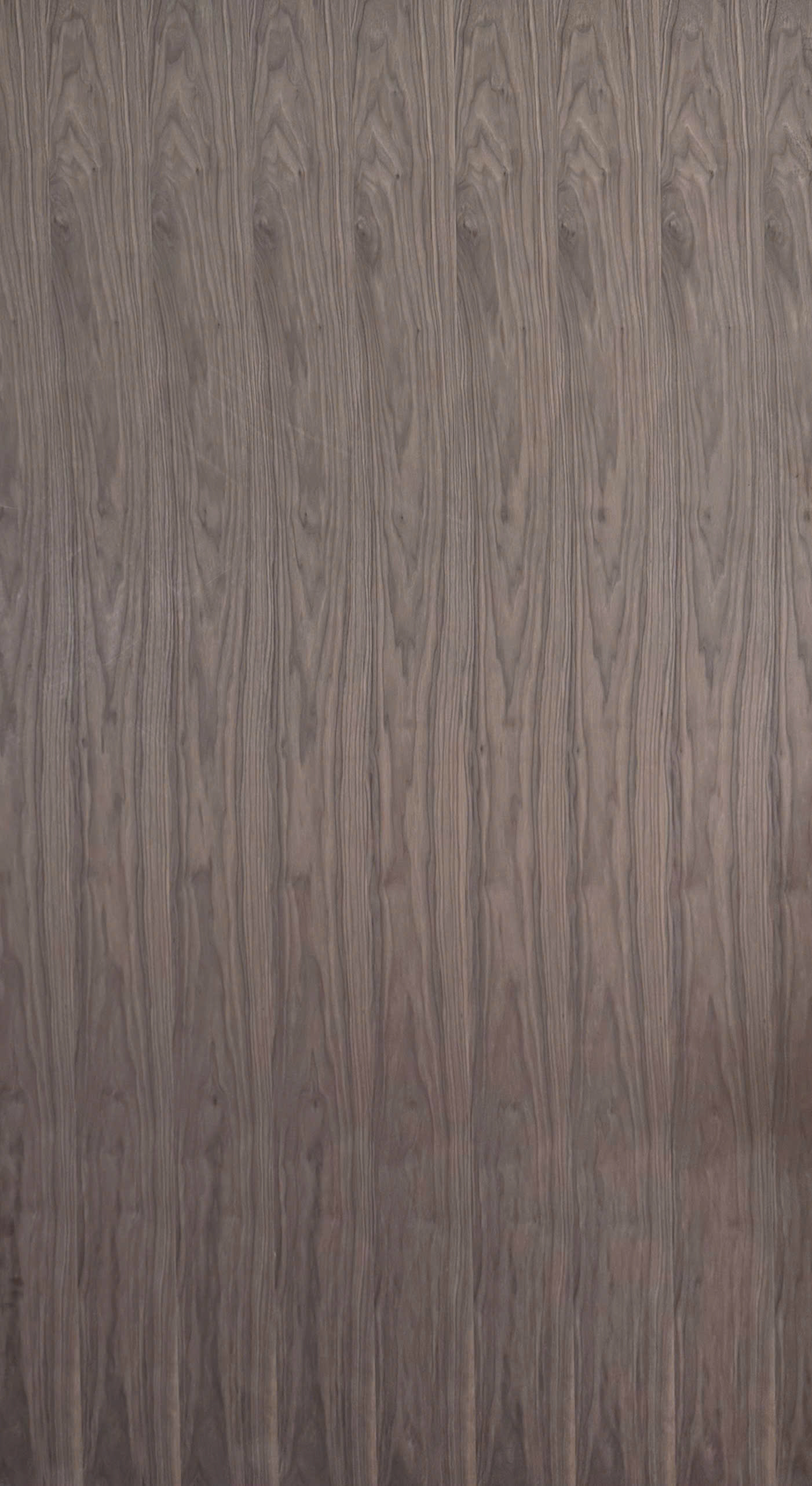 Plywood Covered with Walnut Veneer 7