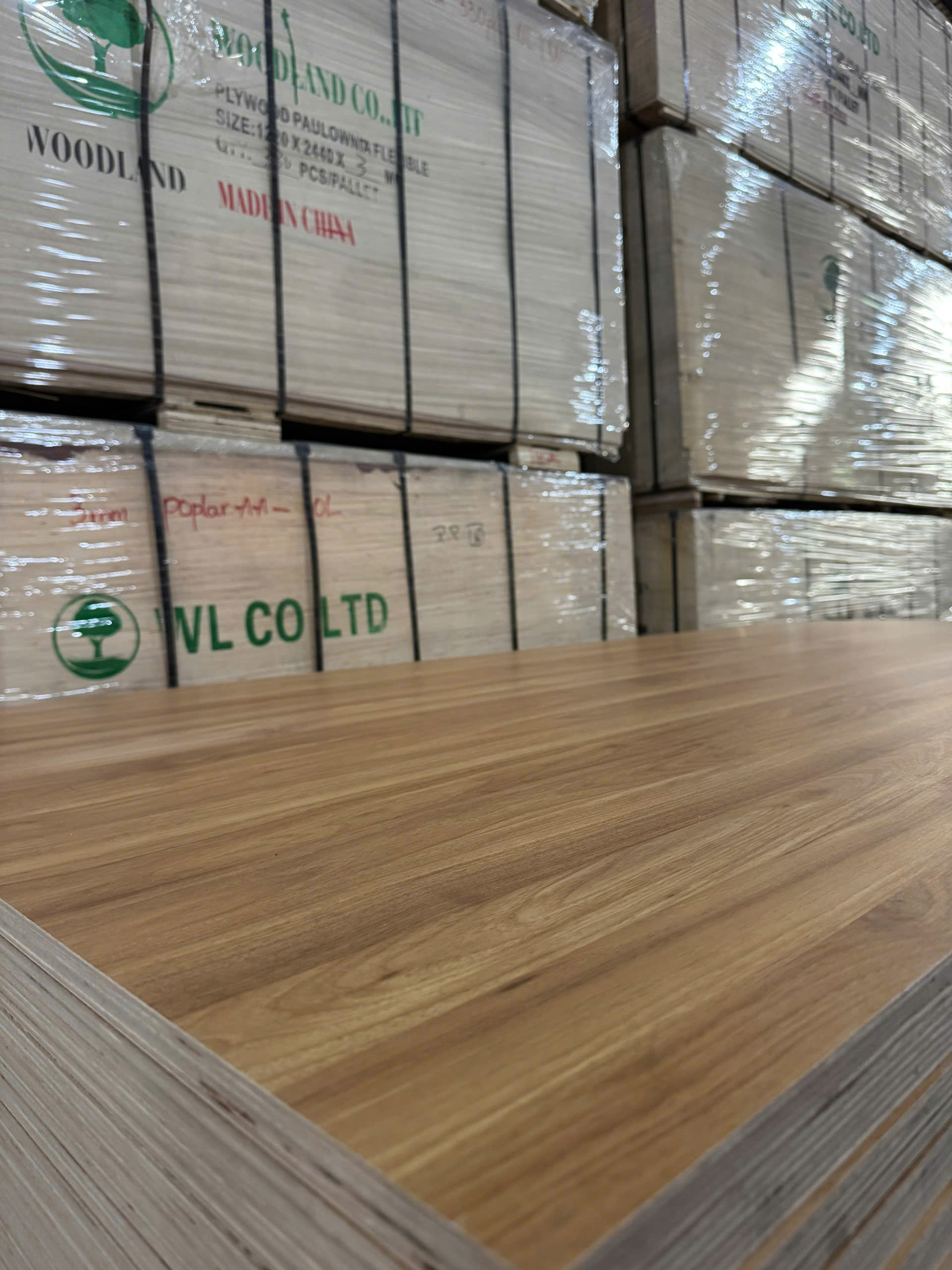 Plywood Melamine - WL828WQ - Yellow Ash 4