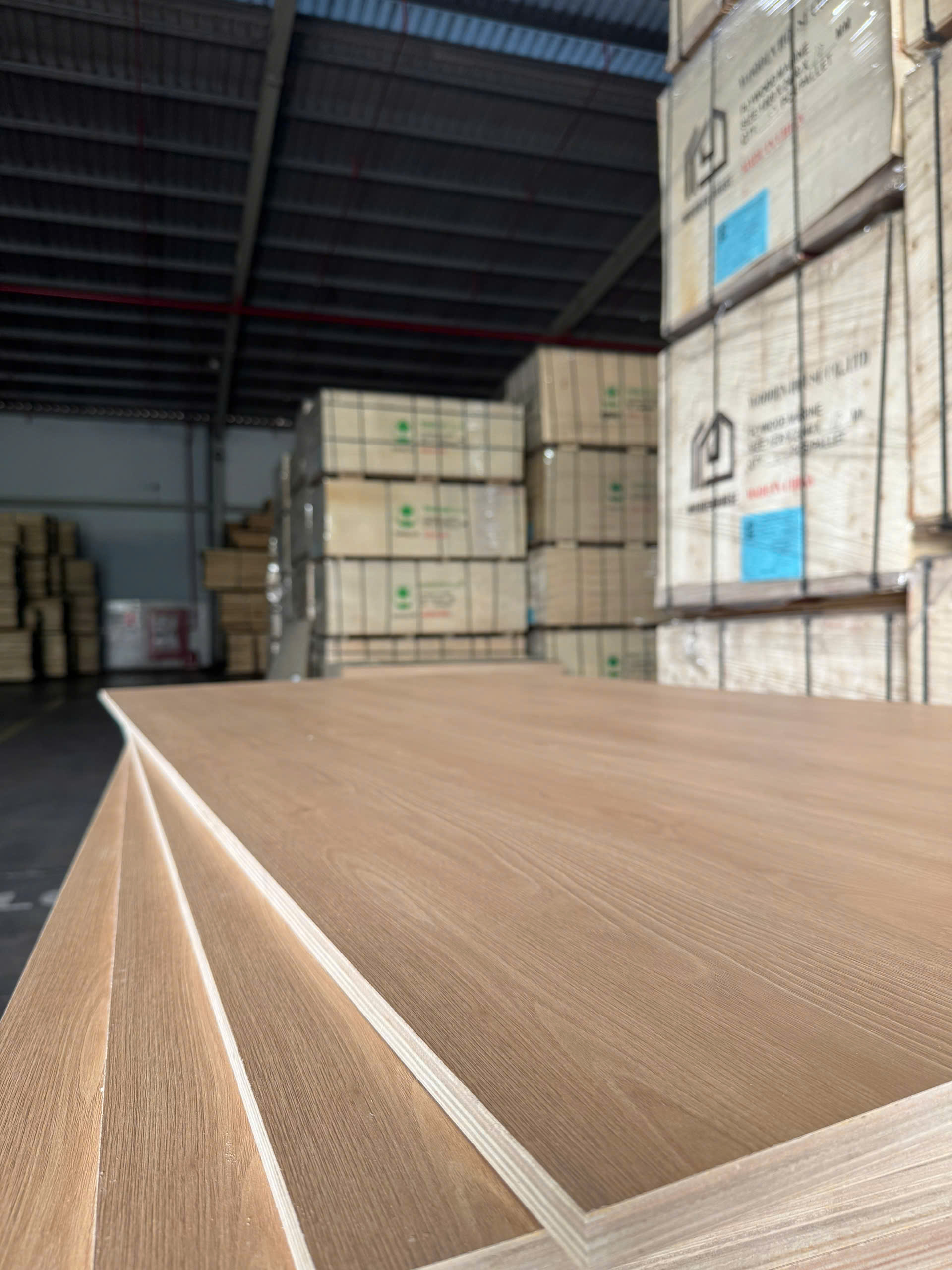 Plywood Melamine - WL605EV - Natural Oak 2