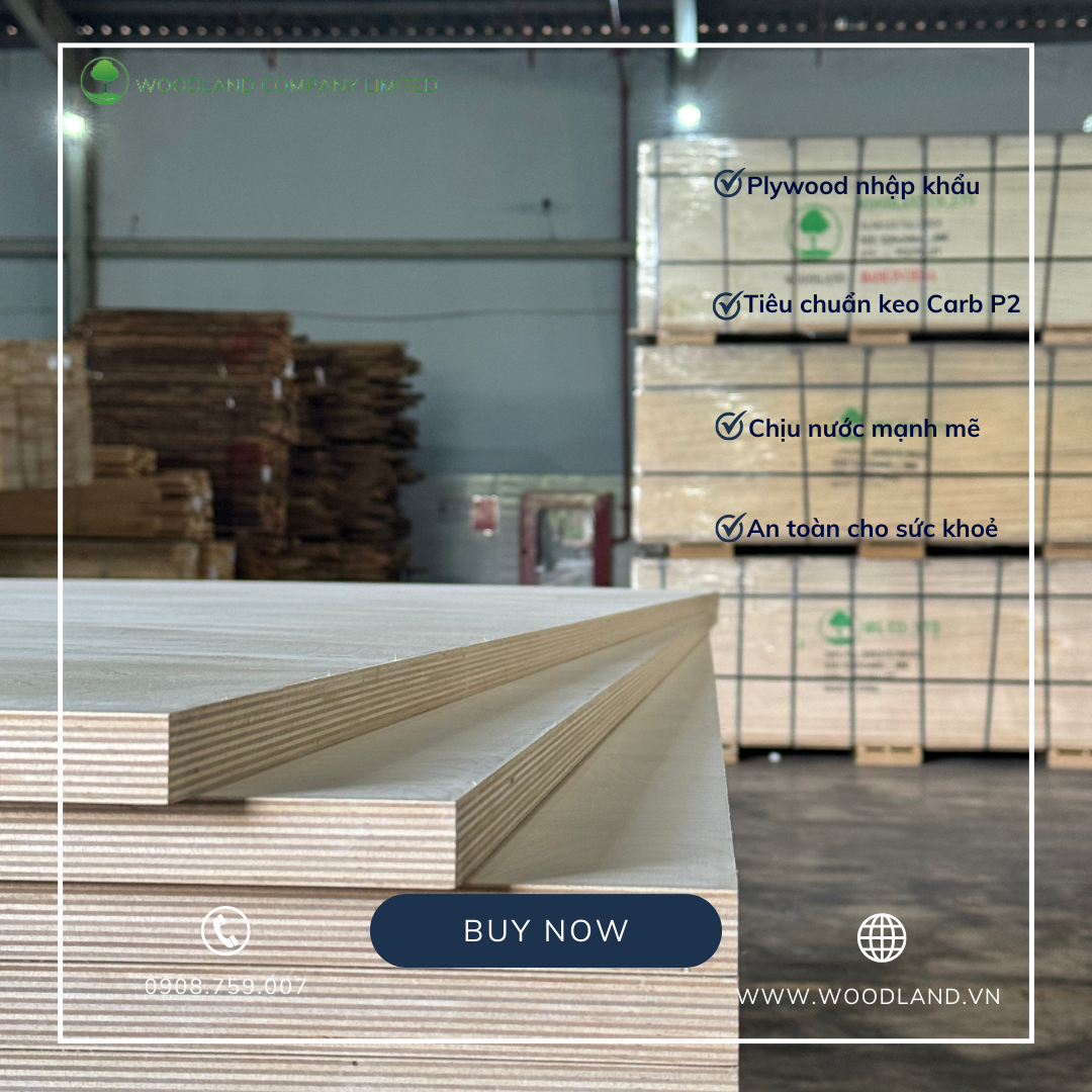 Imported Plywood