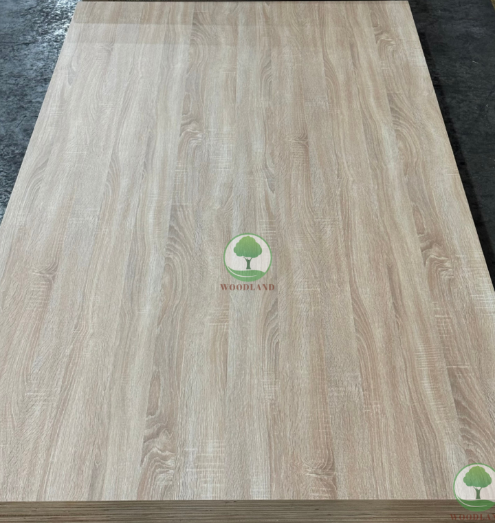 Plywood Melamine - WL602EV - Natural Oak 3