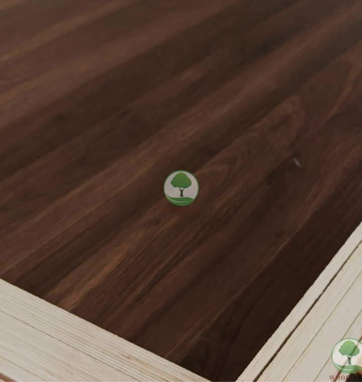 Plywood Melamine - WL714EV - Classic Walnut 2
