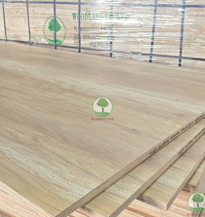 Plywood Melamine - WL814EV - Grain Oak 3