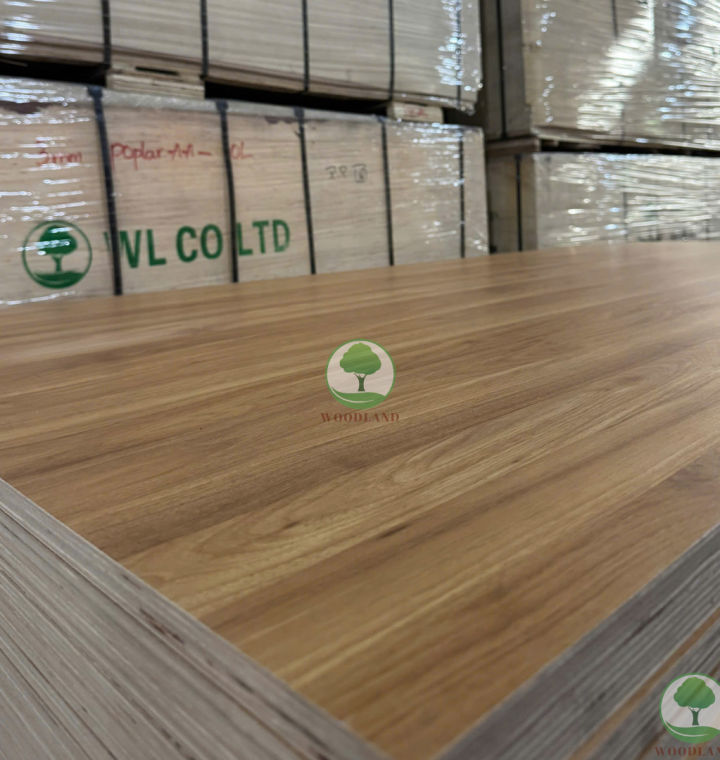Plywood Melamine - WL825EV - Classic Walnut (Yellow) 3