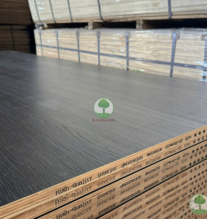 Plywood Melamine - WL828-1WQ - Dark Ash 2