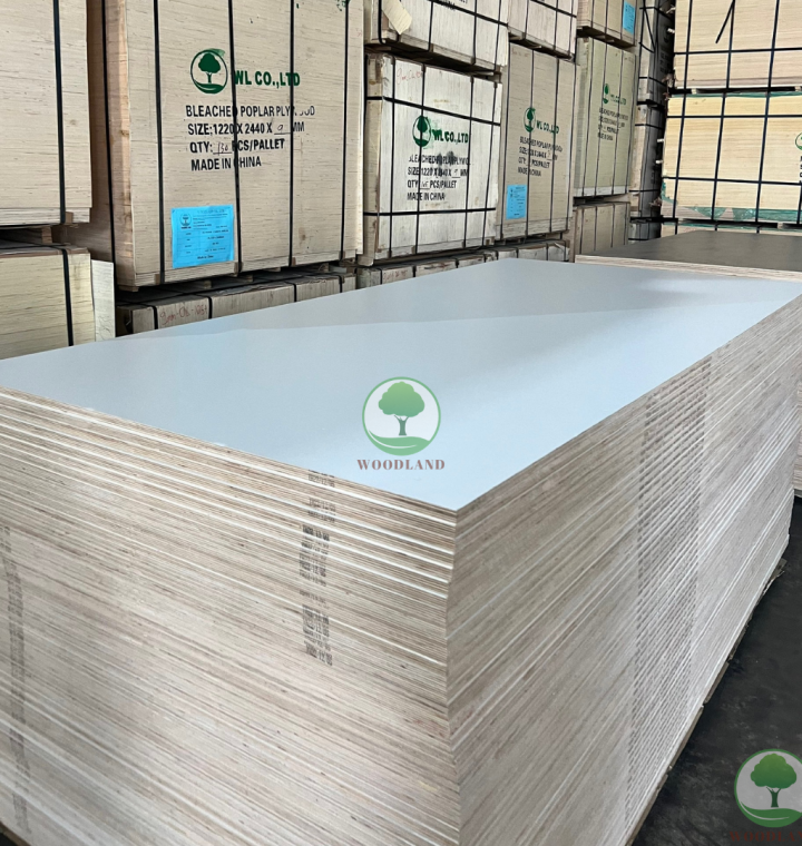Plywood Melamine - WL088T - White 2