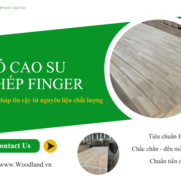 Finger Jointed Rubber Wood
