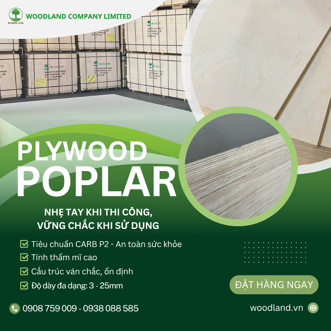 PLYWOOD CARB P2 VIETNAM TWO SIDE POPLAR AA/ AB