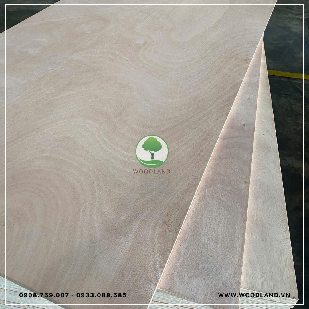 What is Okoume Plywood? 2