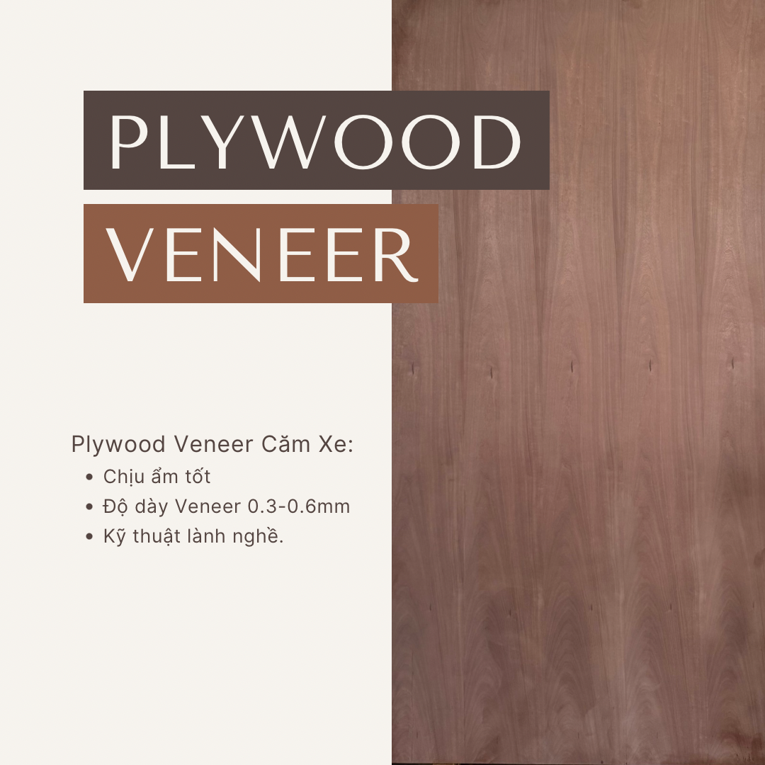 Plywood Covered with Veneer for Vehicle Chassis